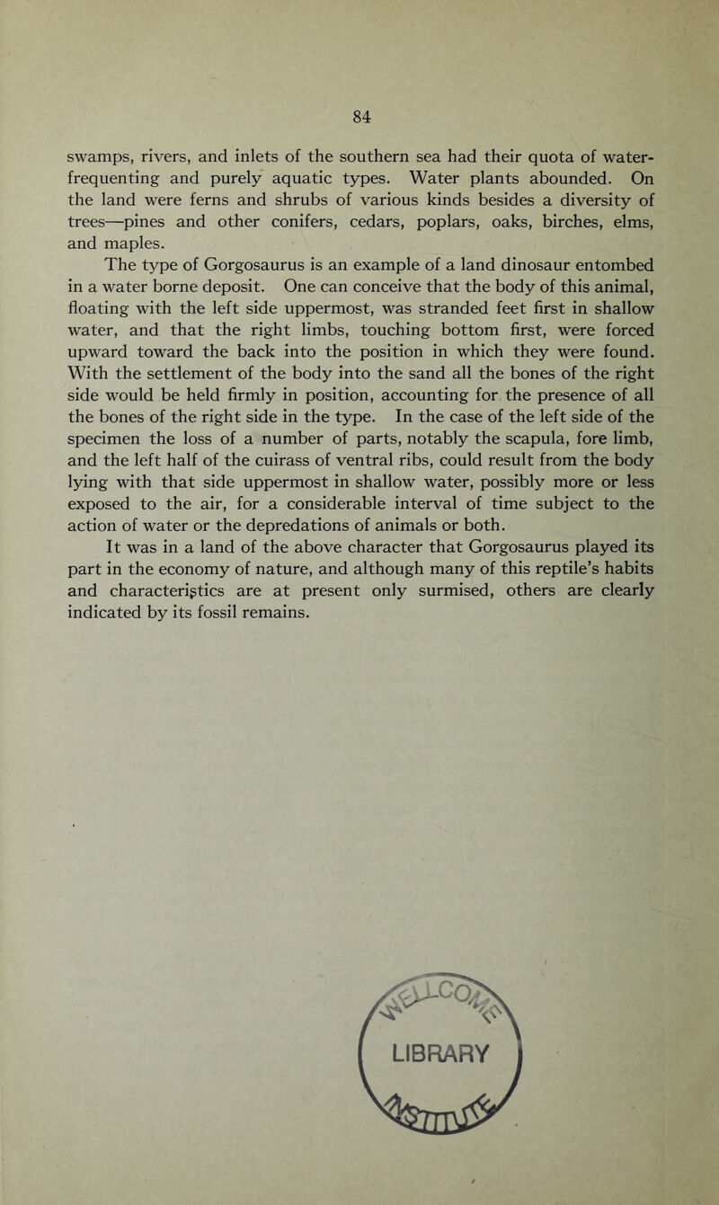 swamps, rivers, and inlets of the southern sea had their quota of water- frequenting and purely aquatic types. Water plants abounded. On the land were ferns and shrubs of various kinds besides a diversity of trees—pines and other conifers, cedars, poplars, oaks, birches, elms, and maples. The type of Gorgosaurus is an example of a land dinosaur entombed in a water borne deposit. One can conceive that the body of this animal, floating with the left side uppermost, was stranded feet first in shallow water, and that the right limbs, touching bottom first, were forced upward toward the back into the position in which they were found. With the settlement of the body into the sand all the bones of the right side would be held firmly in position, accounting for the presence of all the bones of the right side in the type. In the case of the left side of the specimen the loss of a number of parts, notably the scapula, fore limb, and the left half of the cuirass of ventral ribs, could result from the body lying with that side uppermost in shallow water, possibly more or less exposed to the air, for a considerable interval of time subject to the action of water or the depredations of animals or both. It was in a land of the above character that Gorgosaurus played its part in the economy of nature, and although many of this reptile’s habits and characteristics are at present only surmised, others are clearly indicated by its fossil remains.