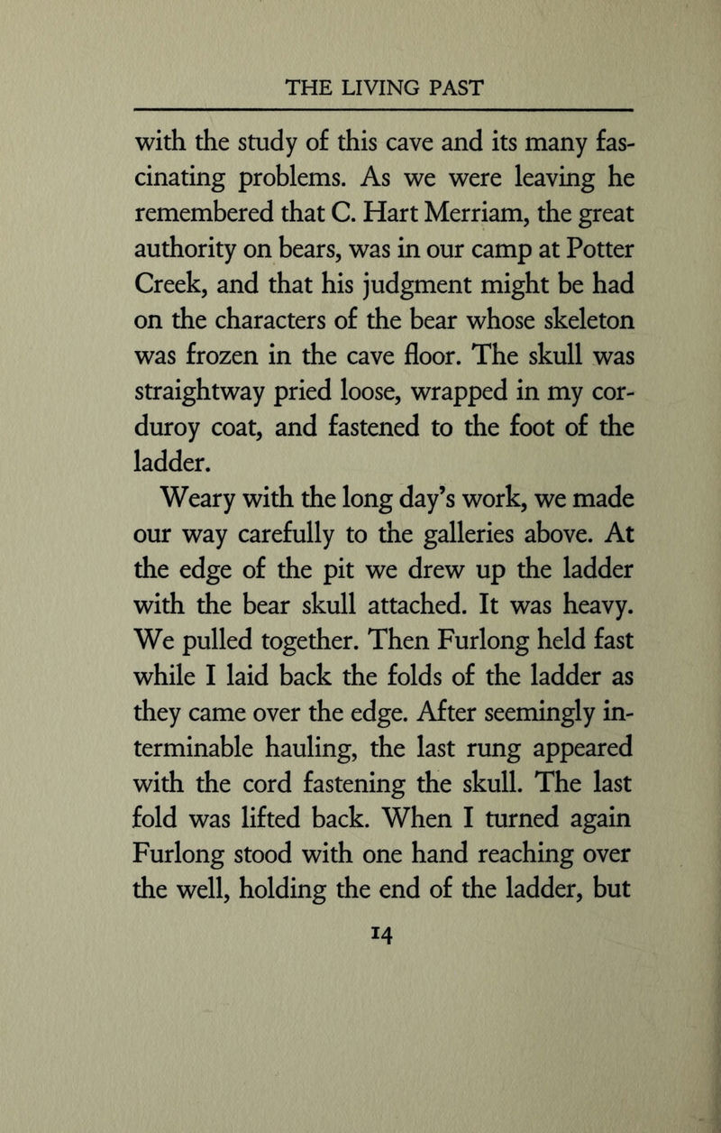 with the study of this cave and its many fas- cinating problems. As we were leaving he remembered that C. Hart Merriam, the great authority on bears, was in our camp at Potter Creek, and that his judgment might be had on the characters of the bear whose skeleton was frozen in the cave floor. The skull was straightway pried loose, wrapped in my cor- duroy coat, and fastened to the foot of the ladder. Weary with the long day’s work, we made our way carefully to the galleries above. At the edge of the pit we drew up the ladder with the bear skull attached. It was heavy. We pulled together. Then Furlong held fast while I laid back the folds of the ladder as they came over the edge. After seemingly in- terminable hauling, the last rung appeared with the cord fastening the skull. The last fold was lifted back. When I turned again Furlong stood with one hand reaching over the well, holding the end of the ladder, but