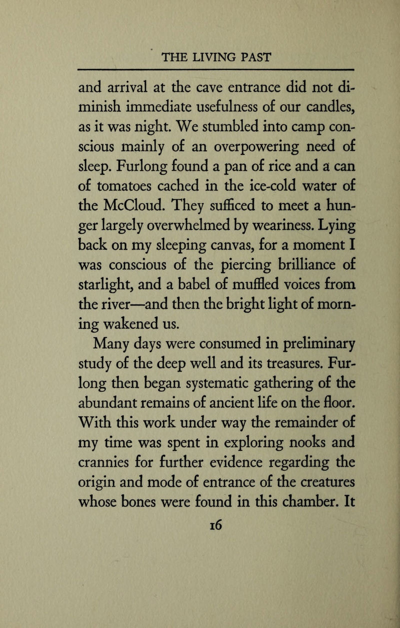and arrival at the cave entrance did not di- minish immediate usefulness of our candles, as it was night. We stumbled into camp con- scious mainly of an overpowering need of sleep. Furlong found a pan of rice and a can of tomatoes cached in the ice-cold water of the McCloud. They sufficed to meet a hun- ger largely overwhelmed by weariness. Lying back on my sleeping canvas, for a moment I was conscious of the piercing brilliance of starlight, and a babel of muffled voices from the river—and then the bright light of morn- ing wakened us. Many days were consumed in preliminary study of the deep well and its treasures. Fur- long then began systematic gathering of the abundant remains of ancient life on the floor. With this work under way the remainder of my time was spent in exploring nooks and crannies for further evidence regarding the origin and mode of entrance of the creatures whose bones were found in this chamber. It