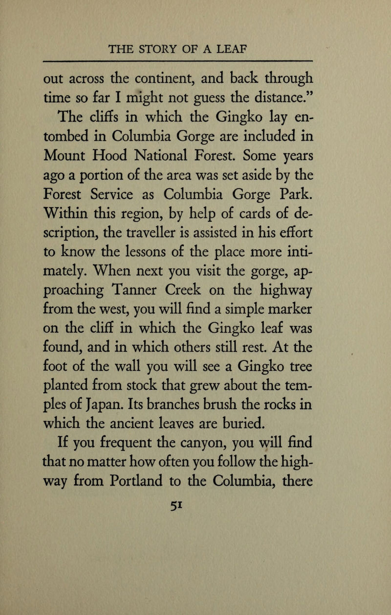 out across the continent, and back through time so far I might not guess the distance.” The cliffs in which the Gingko lay en- tombed in Columbia Gorge are included in Mount Hood National Forest. Some years ago a portion of the area was set aside by the Forest Service as Columbia Gorge Park. Within this region, by help of cards of de- scription, the traveller is assisted in his effort to know the lessons of the place more inti- mately. When next you visit the gorge, ap- proaching Tanner Creek on the highway from the west, you will find a simple marker on the cliff in which the Gingko leaf was found, and in which others still rest. At the foot of the wall you will see a Gingko tree planted from stock that grew about the tem- ples of Japan. Its branches brush the rocks in which the ancient leaves are buried. If you frequent the canyon, you will find that no matter how often you follow the high- way from Portland to the Columbia, there 5i