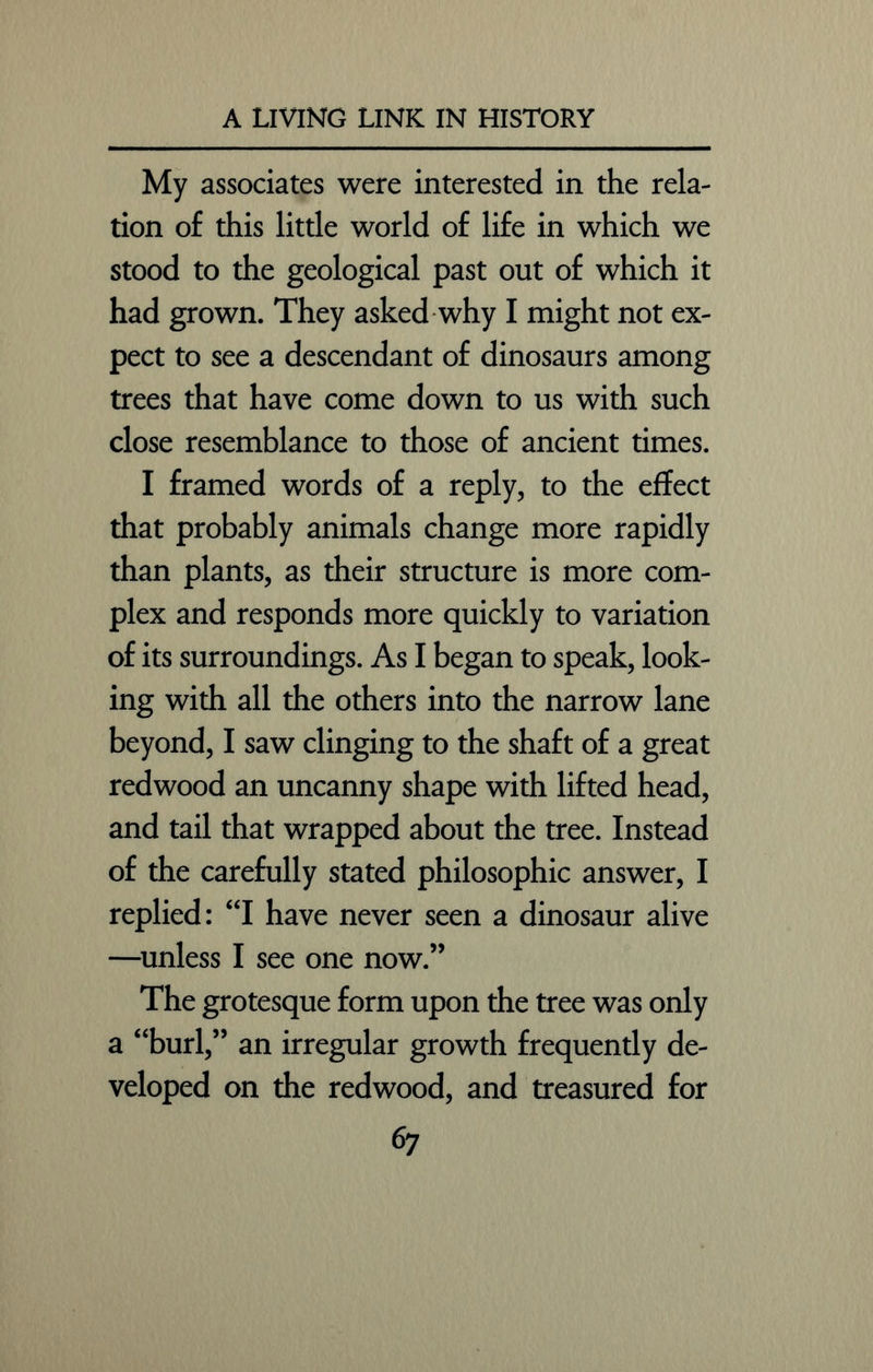 My associates were interested in the rela- tion of this little world of life in which we stood to the geological past out of which it had grown. They asked why I might not ex- pect to see a descendant of dinosaurs among trees that have come down to us with such close resemblance to those of ancient times. I framed words of a reply, to the effect that probably animals change more rapidly than plants, as their structure is more com- plex and responds more quickly to variation of its surroundings. As I began to speak, look- ing with all the others into the narrow lane beyond, I saw clinging to the shaft of a great redwood an uncanny shape with lifted head, and tail that wrapped about the tree. Instead of the carefully stated philosophic answer, I replied: “I have never seen a dinosaur alive —unless I see one now.” The grotesque form upon the tree was only a “burl,” an irregular growth frequently de- veloped on the redwood, and treasured for