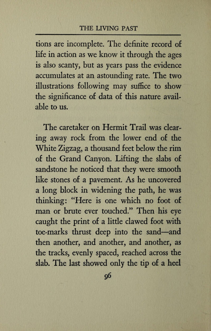 tions are incomplete. The definite record of life in action as we know it through the ages is also scanty, but as years pass the evidence accumulates at an astounding rate. The two illustrations following may suffice to show the significance of data of this nature avail- able to us. The caretaker on Hermit Trail was clear- ing away rock from the lower end of the White Zigzag, a thousand feet below the rim of the Grand Canyon. Lifting the slabs of sandstone he noticed that they were smooth like stones of a pavement. As he uncovered a long block in widening the path, he was thinking: “Here is one which no foot of man or brute ever touched.” Then his eye caught the print of a little clawed foot with toe-marks thrust deep into the sand—and then another, and another, and another, as the tracks, evenly spaced, reached across the slab. The last showed only the tip of a heel 9^
