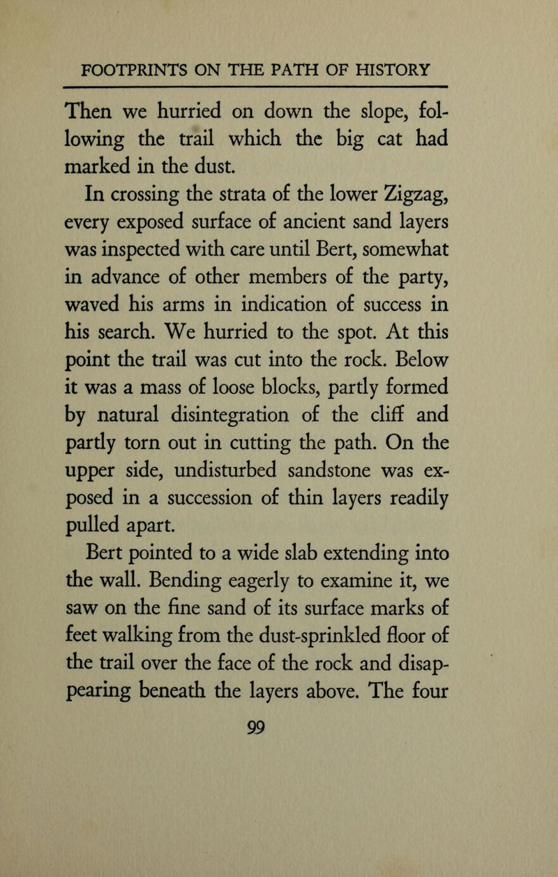 Then we hurried on down the slope, fol- lowing the trail which the big cat had marked in the dust. In crossing the strata of the lower Zigzag, every exposed surface of ancient sand layers was inspected with care until Bert, somewhat in advance of other members of the party, waved his arms in indication of success in his search. We hurried to the spot. At this point the trail was cut into the rock. Below it was a mass of loose blocks, partly formed by natural disintegration of the cliff and partly torn out in cutting the path. On the upper side, undisturbed sandstone was ex- posed in a succession of thin layers readily pulled apart. Bert pointed to a wide slab extending into the wall. Bending eagerly to examine it, we saw on the fine sand of its surface marks of feet walking from the dust-sprinkled floor of the trail over the face of the rock and disap- pearing beneath the layers above. The four