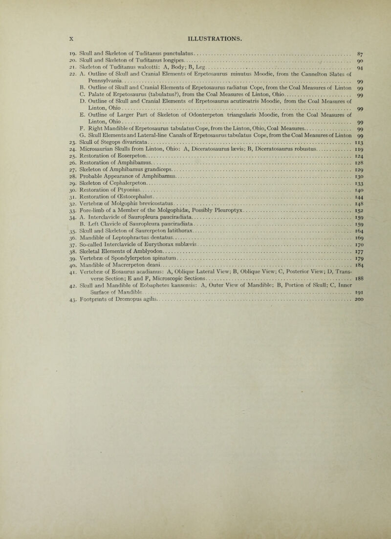 19. Skull and Skeleton of Tuditanus punctulatus 87 20. Skull and Skeleton of Tuditanus longipes 90 21. Skeleton of Tuditanus walcotti: A, Body; B, Leg 94 22. A. Outline of Skull and Cranial Elements of Erpetosaurus minutus Moodie, from the Cannelton Slates of Pennsylvania 99 B. Outline of Skull and Cranial Elements of Erpetosaurus radiatus Cope, from the Coal Measures of Linton 99 C. Palate of Erpetosaurus (tabulatus?), from the Coal Measures of Linton, Ohio 99 D. Outline of Skull and Cranial Elements of Erpetosaurus acutirostris Moodie, from the Coal Measures of Linton, Ohio 99 E. Outline of Larger Part of Skeleton of Odonterpeton triangularis Moodie, from the Coal Measures of Linton, Ohio 99 F. Right Mandible of Erpetosaurus tabulatus Cope, from the Linton, Ohio, Coal Measures 99 G. Skull Elements and Lateral-line Canals of Erpetosaurus tabulatus Cope, from the Coal Measures of Linton 99 23. Skull of Stegops divaricata 113 24. Microsaurian Skulls from Linton, Ohio: A, Diceratosaurus laevis; B, Diceratosaurus robustus 119 25. Restoration of Eoseipeton 124 26. Restoration of Amphibamus 128 27. Skeleton of Amphibamus grandiceps 129 28. Probable Appearance of Amphibamus 130 29. Skeleton of Cephalerpeton 133 30. Restoration of Ptyonius 140 31. Restoration of CEstocephalus 144 32. Vertebrae of Molgophis brevicostatus 148 33. Fore-limb of a Member of the Molgophidae, Possibly Pleuroptyx 152 34. A. Interclavicle of Sauropleura pauciradiata 159 B. Left Clavicle of Sauropleura pauciradiata 159 35. Skull and Skeleton of Saurerpeton latithorax 164 36. Mandible of Leptophractus dentatus 169 37. So-called Interclavicle of Eurythorax sublaevis 170 38. Skeletal Elements of Amblyodon 177 39. Vertebrae of Spondylerpeton spinatum 179 40. Mandible of Macrerpeton deani 184 41. Vertebrae of Eosaurus acadianus; A, Oblique Lateral View; B, Oblique View; C, Posterior View; D, Trans- verse Section; E and F, Microscopic Sections 188 42. Skull and Mandible of Eobaphetes kansensis; A, Outer View of Mandible; B, Portion of Skull; C, Inner Surface of Mandible 191 43. Footprints of Dromopus agilis 200