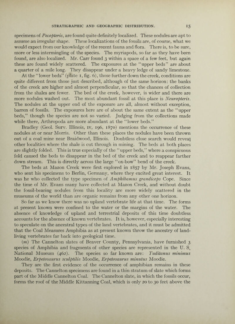 specimens of Pecopteris, are found quite definitely localized. These nodules are apt to assume an irregular shape. These localizations of the fossils are, of course, what we would expect from our knowledge of the recent fauna and flora. There is, to be sure, more or less intermingling of the species. The myriapods, so far as they have been found, are also localized. Mr. Carr found 3 within a space of a few feet, but again these are found widely scattered. The exposures at the “upper beds” are about a quarter of a mile long. They disappear under a heavy ledge of sandy limestone. At the “lower beds’’ (plate i, fig, 6), those further down the creek, conditions are quite different from those just described, although of the same horizon; the banks of the creek are higher and almost perpendicular, so that the chances of collection from the shales are fewer. The bed of the creek, however, is wider and there are more nodules washed out. The most abundant fossil at this place is Neuropteris. The nodules at the upper end of the exposure are all, almost without exception, barren of fossils. The exposures here are of about the same extent as the “upper beds,’’ though the species are not so varied. Judging from the collections made while there, Arthropoda are more abundant at the “lower beds.’’ Bradley (Geol. Surv. Illinois, iv, 196, 1870) mentions the occurrence of these nodules at or near Morris. Other than these places the nodules have been thrown out of a coal mine near Braidwood, Illinois. Doubtless close search would reveal other localities where the shale is cut through in mining. The beds at both places are slightly folded. This is true especially of the “upper beds,’’ where a conspicuous fold caused the beds to disappear in the bed of the creek and to reappear farther down stream. This is directly across the large “ox-bow” bend of the creek. The beds at Mazon Creek were first explored in 1857 by Mr. Joseph Evans, who sent his specimens to Berlin, Germany, where they excited great interest. It was he who collected the type specimen of Amphihamiis grandiceps Cope. Since the time of Mr. Evans many have collected at Mazon Creek, and without doubt the fossil-bearing nodules from this locality are more widely scattered in the museums of the world than are organic remains from any other one horizon. So far as we know there was no upland vertebrate life at that time. The forms at present known were confined to the water or the margins of the water. The absence of knowledge of upland and terrestrial deposits of this time doubtless accounts for the absence of known vertebrates. It is, however, especially interesting to speculate on the ancestral types of the land vertebrates, and it must be admitted that the Coal Measures Amphibia as at present known throw the ancestry of land- living vertebrates far back into geological time. ini) The Cannelton slates of Beaver County, Pennsylvania, have furnished 3 species of Amphibia and fragments of other species are represented in the U. S. National Museum (462). The species so far known are: Tuditanus minimus Moodie, Erpetosaurus scidptilis Moodie, Erpetosaurus minutus Moodie. They are the first evidence of the occurrence of amphibian remains in these deposits. The Cannelton specimens are found in a thin stratum of slate which forms part of the Middle Cannelton Coal. The Cannelton slate, in which the fossils occur, forms the roof of the Middle Kittanning Coal, which is only 20 to 30 feet above the