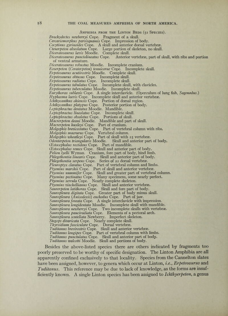 Amphibia from the Linton Beds (51 Species). Brachydectes newherryi Cope. Fragment of a skiill. Cercariomorphus parvisquamis Cope. Impression of body. Cocytinus gyrinoides Cope. A skull and anterior dorsal vertebrae. Ctenerpeton alveolaium Cope. Large portion of skeleton, no skull. Diceratosaunis Icsvis Moodie. Complete skull. Diceratosaurus punctoUneatus Cope. Anterior vertebrae, part of skull, with ribs and portion of ventral armature. Diceratosaurus robustus Moodie. Incomplete cranium. Eoserpcton (Ceraterpeton) tenuicorne Cope. Incomplete skull. Erpetosaurus acutirostris Moodie. Complete skull. Erpetosaurus obiusus Cope. Incomplete skull. Erpetosaurus radiatus Cope. Incomplete skull. Erpetosaurus tabulatus Cope. Incomplete skull, with clavicles. Erpetosaurus tuberculatus Moodie. Incomplete skull. Eurythorax sublcevis Cope. A single interclavicle. (Operculum of lung fish, Sagenodus.) Hyphasma laevis Cope. Incomplete skull and anterior vertebr®. Ichthycanthus ohiensis Cope. Portion of dorsal region. Ichthycanthus platypus Cope. Posterior portion of body. Leptophractus dentatus Moodie. Mandible. Leptophractus lineolatus Cope. Incomplete skull. Leptophractus obsoletus Cope. Portions of skull. Macrerpeton deani Moodie. Mandible and part of skull. Macrerpeton huxleyi Cope. Part of cranium. Molgophis brevicostatus Cope. Part of vertebral column with ribs. Molgophis macrurus Cope. Vertebral column. Molgophis wheatleyi Cope. Part of skull with 25 vertebrae. Odonterpeton triangularis Moodie. Skull and anterior part of body. Qsstocephalus rectidens Cope. Part of mandible. Gsstocephalus rentex Cope. Skull and anterior part of body. Pelion lyelli Wyman. Cranium, fore part of body, hind limb. Phlegethontia linearis Cope. Skull and anterior part of body. Phlegethontia serpens Cope. Series of 22 dorsal vertebrae. Pleuroptyx clavatus Cope. Part of vertebral column and limbs. Ptyonius marshii Cope. Part of skull and anterior vertebrae. Ptyonius nummifer Cope. Skull and greater part of vertebral column. Ptyonius pectinatus Cope. Many specimens, some nearly perfect. Ptyonius serrula Cope. Nearly complete skeleton. Ptyonius vinchellianus Cope. Skull and anterior vertebrae. Saurerpeton latithorax Cope. Skull and fore part of body. Sauropleura digitata Cope. Greater part of body minus sktdl. Sauropleura (Anisodexis) enchodus Cope. Part of jaw. Sauropleura foveata Cope. A single interclavicle with impression. Sauropleura longidentata Moodie. Incomplete skull with mandible. Sauropleura newberryi Cope. Two incomplete skulls with vertebrae. Sauropleura pauciradiata Cope. Elements of a pectoral arch. Sauropleura scutellata Newberry. Imperfect skeleton. Stegops divaricata Cope. Nearly complete skull. Thyrsidium fasciculare Cope. Dorsal vertebrae. Tuditanus brevirostris Cope. Skull and anterior vertebrae. Tuditanus longipes Cope. Part of vertebral column with limbs. Tuditanus punctulatus Cope. Skull and anterior part of body. Tuditanus walcotti Moodie. Skull and portions of body. Besides the above-listed species there are others indicated by fragments too poorly preserved to be worthy of specific designation. The Linton Amphibia are all apparently confined exclusively to that locality. Species from the Cannelton slates have been assigned, however, to genera which occur at Linton, i.e., Erpetosaurus and Tuditanus. This reference may be due to lack of knowledge, as the forms are insuf- ficiently known. A single Linton species has been assigned to Ichthyerpeton, a genus