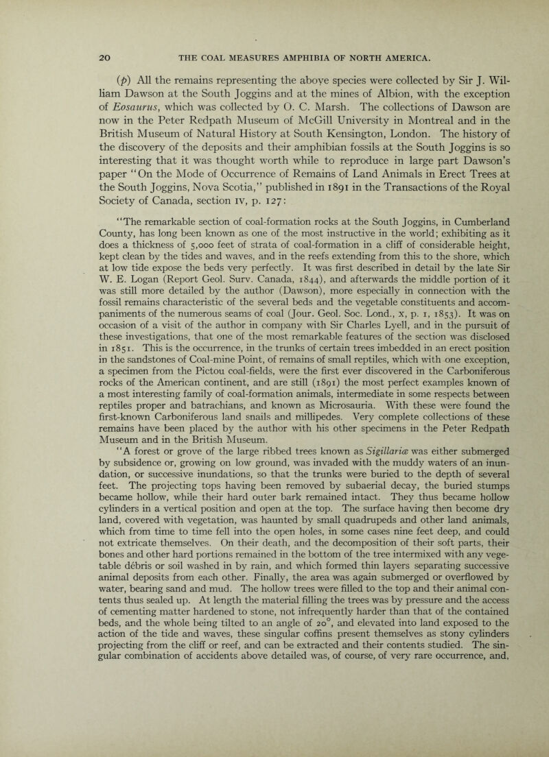 ip) All the remains representing the above speeies were collected by Sir J. Wil- liam Dawson at the South Joggins and at the mines of Albion, with the exception of Eosaurus, which was collected by O. C. Marsh. The collections of Dawson are now in the Peter Redpath Museum of McGill University in Montreal and in the British Museum of Natural History at South Kensington, London. The history of the discovery of the deposits and their amphibian fossils at the South Joggins is so interesting that it was thought worth while to reproduce in large part Dawson’s paper “On the Mode of Occurrence of Remains of Land Animals in Erect Trees at the South Joggins, Nova Scotia,’’ published in 1891 in the Transactions of the Royal Society of Canada, section iv, p. 127: “The remarkable section of coal-formation rocks at the South Joggins, in Ciimberland County, has long been known as one of the most instructive in the world; exhibiting as it does a thickness of 5,000 feet of strata of coal-formation in a cliff of considerable height, kept clean by the tides and waves, and in the reefs extending from this to the shore, which at low tide expose the beds very perfectly. It was first described in detail by the late Sir W. E. Logan (Report Geol. Surv. Canada, 1844), and afterwards the middle portion of it was still more detailed by the author (Dawson), more especially in connection with the fossil remains characteristic of the several beds and the vegetable constituents and accom- paniments of the numerous seams of coal (Jour. Geol. Soc. Lond., x, p. i, 1853). It was on occasion of a visit of the author in company with Sir Charles Lyell, and in the pursuit of these investigations, that one of the most remarkable features of the section was disclosed in 1851. This is the occurrence, in the trunks of certain trees imbedded in an erect position in the sandstones of Coal-mine Point, of remains of small reptiles, which with one exception, a specimen from the Pictou coal-fields, were the first ever discovered in the Carboniferous rocks of the American continent, and are still (1891) the most perfect examples known of a most interesting family of coal-formation animals, intermediate in some respects between reptiles proper and batrachians, and known as Microsauria. With these were found the first-known Carboniferous land snails and millipedes. Very complete collections of these remains have been placed by the author with his other specimens in the Peter Redpath Museum and in the British Museum. “A forest or grove of the large ribbed trees known as SigillaricB was either submerged by subsidence or, growing on low ground, was invaded with the muddy waters of an inun- dation, or successive inundations, so that the trunks were buried to the depth of several feet. The projecting tops having been removed by subaerial decay, the buried stumps became hollow, while their hard outer bark remained intact. They thus became hollow cylinders in a vertical position and open at the top. The surface having then become dry land, covered with vegetation, was haunted by small quadrupeds and other land animals, which from time to time fell into the open holes, in some cases nine feet deep, and could not extricate themselves. On their death, and the decomposition of their soft parts, their bones and other hard portions remained in the bottom of the tree intermixed with any vege- table debris or soil washed in by rain, and which formed thin layers separating successive animal deposits from each other. Finally, the area was again submerged or overflowed by water, bearing sand and mud. The hollow trees were filled to the top and their animal con- tents thus sealed up. At length the material filling the trees was by pressure and the access of cementing matter hardened to stone, not infrequently harder than that of the contained beds, and the whole being tilted to an angle of 20°, and elevated into land exposed to the action of the tide and waves, these singular coffins present themselves as stony cylinders projecting from the cliff or reef, and can be extracted and their contents studied. The sin- gular combination of accidents above detailed was, of course, of very rare occurrence, and.