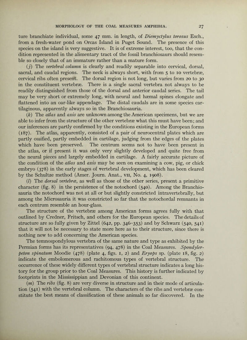 ture branchiate individual, some 47 mm. in length, of Diemyctylus torosus Esch., from a fresh-water pond on Orcas Island in Puget Sound. The presence of this species on the island is very suggestive. It is of extreme interest, too, that the con- dition represented in the alimentary tract of the fossil branchiosaurs should resem- ble so closely that of an immature rather than a mature form. (j) The vertebral column is clearly and readily separable into cervical, dorsal, sacral, and caudal regions. The neck is always short, with from 5 to 10 vertebrae, cervical ribs often present. The dorsal region is not long, but varies from 20 to 30 in the constituent vertebras. There is a single sacral vertebra not always to be readily distinguished from those of the dorsal and anterior caudal series. The tail may be very short or extremely long, with neural and haemal spines elongate and flattened into an oar-like appendage. The distal caudals are in some species car- tilaginous, apparently always so in the Branchiosauria. {k) The atlas and axis are unknown among the American specimens, but we are able to infer from the structure of the other vertebrae what this must have been; and our inferences are partly confirmed by the conditions existing in the European forms (187). The atlas, apparently, consisted of a pair of neurocentral plates which are partly ossified, partly embedded in cartilage, judging from the edges of the plates which have been preserved. The centrum seems not to have been present in the atlas, or if present it was only very slightly developed and quite free from the neural pieces and largely embedded in cartilage. A fairly accurate picture of the condition of the atlas and axis may be seen on examining a cow, pig, or chick embryo (378) in the early stages of vertebral development, which has been cleared by the Schultze method (Amer. Journ. Anat., vii. No. 4, 1908). (/) The dorsal vertehrce, as well as those of the other series, present a primitive character (fig. 8) in the persistence of the notochord (540). Among the Branchio- sauria the notochord was not at all or but slightly constricted intravertebrally, but among the Microsauria it was constricted so far that the notochordal remnants in each centrum resemble an hour-glass. The structure of the vertebrae among American forms agrees fully with that outlined by Credner, Fritsch, and others for the European species. The details of structure are so fully given by Zittel (642, pp. 346-353) and by Schwarz (540, 541) that it will not be necessary to state more here as to their strueture, sinee there is nothing new to add concerning the American species. The temnospondylous vertebra of the same nature and type as exhibited by the Permian forms has its representatives (94, 478) in the Coal Measures. Spondyler- peton spinatum Moodie (478) (plate 4, figs, i, 2) and Eryops sp. (plate 18, fig. 2) indicate the embolomerous and rachitomous types of vertebral structure. The occurrence of these widely different types of vertebral structure indicates a long his- tory for the group prior to the Coal Measures. This history is further indicated by footprints in the Mississippian and Devonian of this continent. (w) The ribs (fig. 8) are very diverse in structure and in their mode of articula- tion (541) with the vertebral column. The characters of the ribs and vertebrae con- stitute the best means of classification of these animals so far discovered. In the