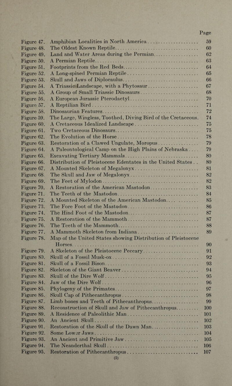 Page Figure 47. Amphibian Localities in North America 59 Figure 48. The Oldest Known Reptile 60 Figure 49. Land and Water Areas during the Permian 62 Figure 50. A Permian Reptile 63 Figure 51. Footprints from the Red Beds 64 Figure 52. A Long-spined Permian Reptile 65 Figure 53. Skull and Jaws of Diplocaulus 66 Figure 54. A Triassic-Landscape, with a Phytosaur 67 Figure 55. A Group of Small Triassic Dinosaurs 68 Figure 56. A European Jurassic Pterodactyl 70 Figure 57. A Reptilian Bird 71 Figure 58. Dinosaurian Features 72 Figure 59. The Large, Wingless, Toothed, Diving Bird of the Cretaceous. 74 Figure 60. A Cretaceous Idealized Landscape 75 Figure 61. Two Cretaceous Dinosaurs 75 Figure 62. The Evolution of the Horse 78 Figure 63. Restoration of a Clawed Ungulate, Moropus 79 Figure 64. A Paleontological Camp on the High Plains of Nebraska .... 79 Figure 65. Excavating Tertiary Mammals 80 Figure 66. Distribution of Pleistocene Edentates in the United States . . 80 Figure 67. A Mounted Skeleton of Megalonyx 81 Figure 68. The Skull and Jaw of Megalonyx 82 Figure 69. The Feet of Mylodon 82 Figure 70. A Restoration of the American Mastodon 83 Figure 71. The Teeth of the Mastodon 84 Figure 72. A Mounted Skeleton of the American Mastodon 85 Figure 73. The Fore Foot of the Mastodon 86 Figure 74. The Hind Foot of the Mastodon 87 Figure 75. A Restoration of the Mammoth 87 Figure 76. The Teeth of the Mammoth 88 Figure 77. A Mammoth Skeleton from Indiana 89 Figure 78. Map of the United States showing Distribution of Pleistocene Horses 90 Figure 79. A Skeleton of the Pleistocene Peccary 91 Figure 80. Skull of a Fossil Musk-ox 92 Figure 81. Skull of a Fossil Bison 93 Figure 82. Skeleton of the Giant Beaver 94 Figure 83. Skull of the Dire Wolf 95 Figure 84. Jaw of the Dire Wolf 96 Figure 85. Phylogeny of the Primates 97 Figure 86. Skull Cap of Pithecanthropus 98 Figure 87. Limb bones and Teeth of Pithecanthropus 99 Figure 88. Reconstruction of Skull and Jaw of Pithecanthropus 100 Figure 89. A Residence of Paleolithic Man 101 Figure 90. An Ancient Skull 102 Figure 91. Restoration of the Skull of the Dawn Man 103 Figure 92. Some Lower Jaws 104 Figure 93. An Ancient and Primitive Jaw 105 Figure 94. The Neanderthal Skull 106 Figure 95. Restoration of Pithecanthropus 107