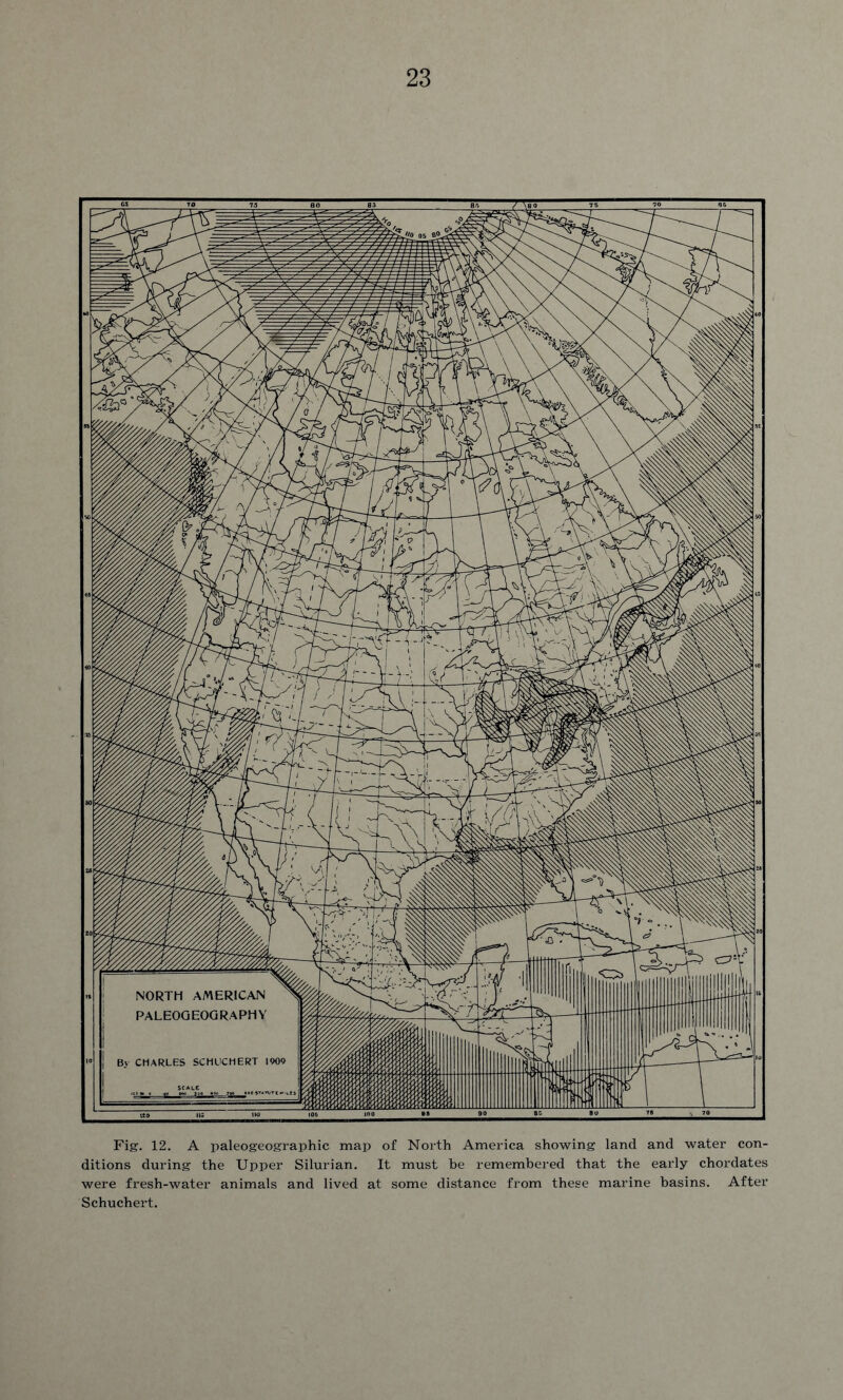 Fig. 12. A paleogeographic map of North America showing land and water con- ditions during the Upper Silurian. It must he remembered that the early chordates were fresh-water animals and lived at some distance from these marine basins. After Schuchert.