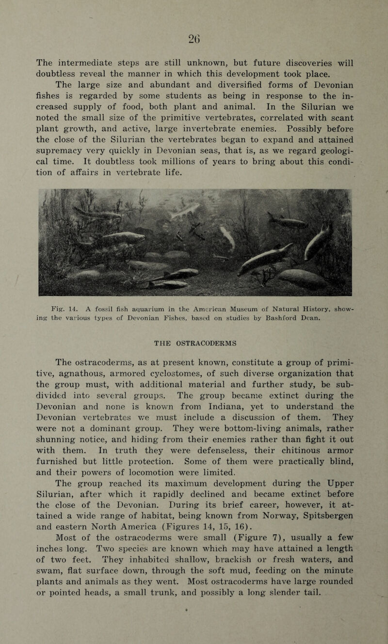 The intermediate steps are still unknown, but future discoveries will doubtless reveal the manner in which this development took place. The large size and abundant and diversified forms of Devonian fishes is regarded by some students as being in response to the in- creased supply of food, both plant and animal. In the Silurian we noted the small size of the primitive vertebrates, correlated with scant plant growth, and active, large invertebrate enemies. Possibly before the close of the Silurian the vertebrates began to expand and attained supremacy very quickly in Devonian seas, that is, as we regard geologi- cal time. It doubtless took millions of years to bring about this condi- tion of affairs in vertebrate life. Fig. 14. A fossil fish aquarium in the American Museum of Natural History, show- ing- the various types of Devonian Fishes, based on studies by Bashford Dean. THE OSTRACODERMS The ostracoderms, as at present known, constitute a group of primi- tive, agnathous, armored cyclostomes, of such diverse organization that the group must, with additional material and further study, be sub- divided into several groups. The group became extinct during the Devonian and none is known from Indiana, yet to understand the Devonian vertebrates v/e must include a discussion of them. They were not a dominant group. They were bottom-living animals, rather shunning notice, and hiding from their enemies rather than fight it out with them. In truth they were defenseless, their chitinous armor furnished but little protection. Some of them were practically blind, and their powers of locomotion were limited. The group reached its maximum development during the Upper Silurian, after which it rapidly declined and became extinct before the close of the Devonian. During its brief career, however, it at- tained a wide range of habitat, being known from Norway, Spitsbergen and eastern North America (Figures 14, 15, 16). Most of the ostracoderms were small (Figure 7), usually a few inches long. Two species are known which may have attained a length of two feet. They inhabited shallow, brackish or fresh waters, and swam, flat surface down, through the soft mud, feeding on the minute plants and animals as they went. Most ostracoderms have large rounded or pointed heads, a small trunk, and possibly a long slender tail.