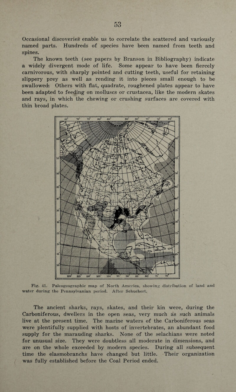 Occasional discoveries enable us to correlate the scattered and variously named parts. Hundreds of species have been named from teeth and spines. The known teeth (see papers by Branson in Bibliography) indicate a widely divergent mode of life. Some appear to have been fiercely carnivorous, with sharply pointed and cutting teeth, useful for retaining slippery prey as well as rending it into pieces small enough to be swallowed: Others with flat, quadrate, roughened plates appear to have been adapted to feeding on molluscs or Crustacea, like the modern skates and rays, in which the chewing or crushing surfaces are covered with thin broad plates. Fig. 41. Paleogeographie map of North America, showing distribution of land and water during the Pennsylvanian period. After Schuchert. The ancient sharks, rays, skates, and their kin were, during the Carboniferous, dwellers in the open seas, very much as such animals live at the present time. The marine waters of the Carboniferous seas were plentifully supplied with hosts of invertebrates, an abundant food supply for the marauding sharks. None of the selachians were noted for unusual size. They were doubtless all moderate in dimensions, and are on the whole exceeded by modern species. During all subsequent time the elasmobranchs have changed but little. Their organization was fully established before the Coal Period ended.