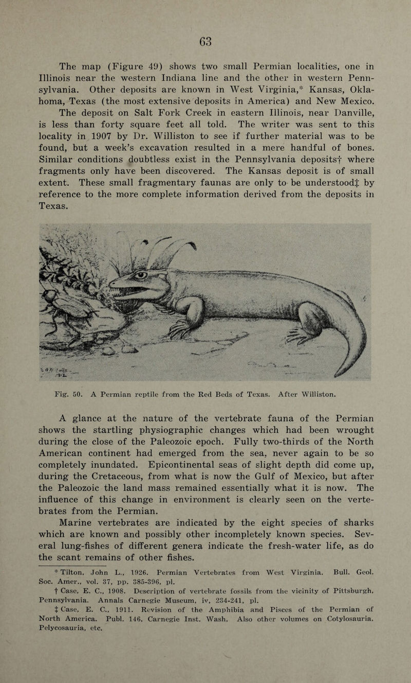 The map (Figure 49) shows two small Permian localities, one in Illinois near the western Indiana line and the other in western Penn- sylvania. Other deposits are known in West Virginia,* Kansas, Okla- homa, Texas (the most extensive deposits in America) and New Mexico. The deposit on Salt Fork Creek in eastern Illinois, near Danville, is less than forty square feet all told. The writer was sent to this locality in 1907 by Dr. Williston to see if further material was to be found, but a week’s excavation resulted in a mere handful of bones. Similar conditions doubtless exist in the Pennsylvania depositsf where fragments only have been discovered. The Kansas deposit is of small extent. These small fragmentary faunas are only to be understood^ by reference to the more complete information derived from the deposits in Texas. Fig. 50. A Permian reptile from the Red Beds of Texas. After Williston. A glance at the nature of the vertebrate fauna of the Permian shows the startling physiographic changes which had been wrought during the close of the Paleozoic epoch. Fully two-thirds of the North American continent had emerged from the sea, never again to be so completely inundated. Epicontinental seas of slight depth did come up, during the Cretaceous, from what is now the Gulf of Mexico, but after the Paleozoic the land mass remained essentially what it is now. The influence of this change in environment is clearly seen on the verte- brates from the Permian. Marine vertebrates are indicated by the eight species of sharks which are known and possibly other incompletely known species. Sev- eral lung-fishes of different genera indicate the fresh-water life, as do the scant remains of other fishes. * Tilton, John L., 1926. Permian Vertebrates from West Virginia. Bull. Geol. Soc. Amer., vol. 37, pp. 385-396, pi. t Case, E. C., 1908. Description of vertebrate fossils from the vicinity of Pittsburgh, Pennsylvania. Annals Carnegie Museum, iv, 234-241, pi. + Case, E. C., 1911. Revision of the Amphibia and Pisces of the Permian of North America. Publ. 146, Carnegie Inst. Wash. Also other volumes on Cotylosauria, Pelycosauria, etc.
