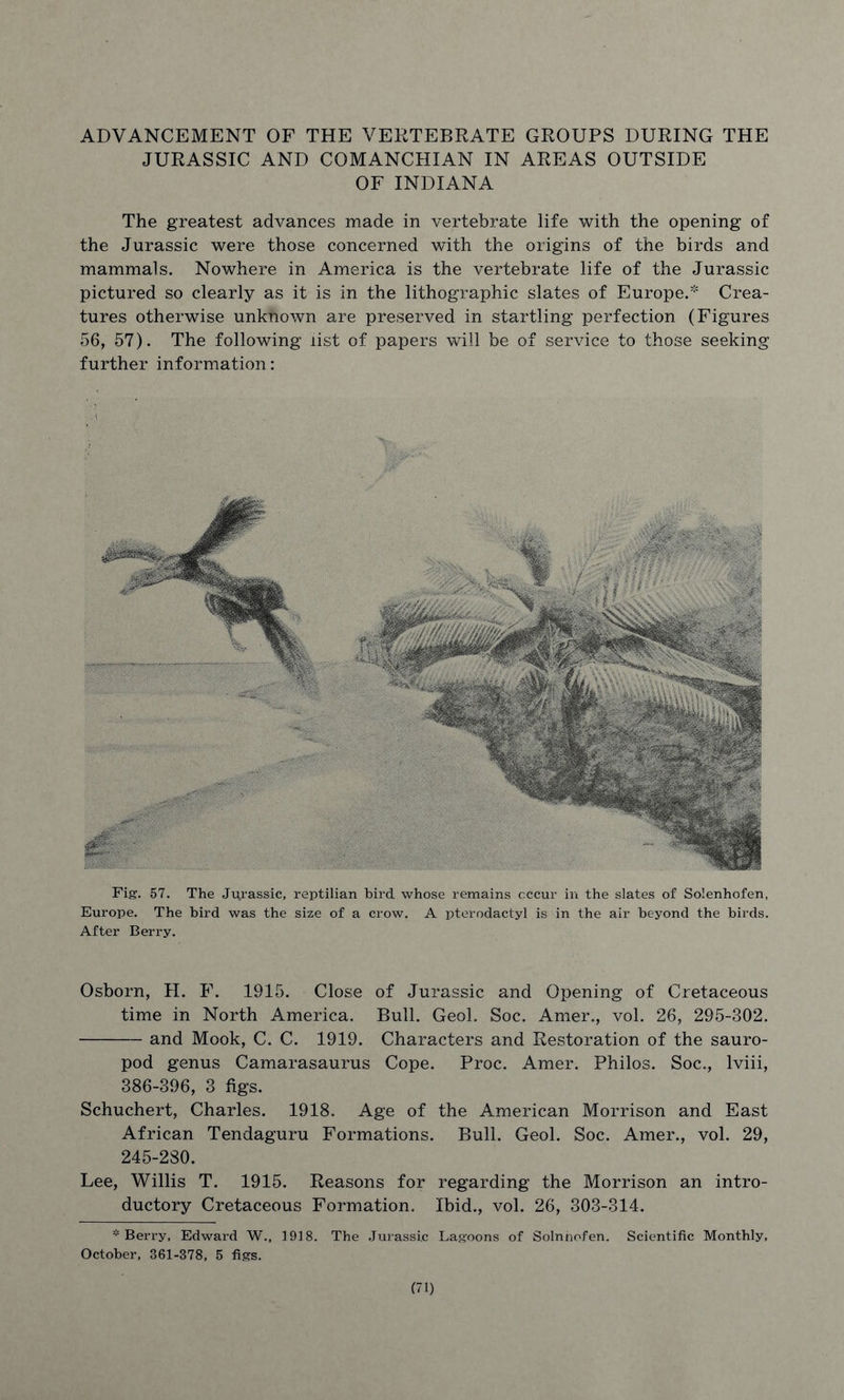 ADVANCEMENT OF THE VERTEBRATE GROUPS DURING THE JURASSIC AND COMANCHIAN IN AREAS OUTSIDE OF INDIANA The greatest advances made in vertebrate life with the opening of the Jurassic were those concerned with the origins of the birds and mammals. Nowhere in America is the vertebrate life of the Jurassic pictured so clearly as it is in the lithographic slates of Europe.* Crea- tures otherwise unknown are preserved in startling perfection (Figures 56, 57). The following list of papers will be of service to those seeking further information: ■ i Fig. 57. The Jurassic, reptilian bird whose remains occur in the slates of Solenhofen, Europe. The bird was the size of a crow. A pterodactyl is in the air beyond the birds. After Berry. Osborn, II. F. 1915. Close of Jurassic and Opening of Cretaceous time in North America. Bull. Geol. Soc. Amer., vol. 26, 295-302. and Mook, C. C. 1919. Characters and Restoration of the sauro- pod genus Camarasaurus Cope. Proc. Amer. Philos. Soc., lviii, 386-396, 3 figs. Schuchert, Charles. 1918. Age of the American Morrison and East African Tendaguru Formations. Bull. Geol. Soc. Amer., vol. 29, 245-280. Lee, Willis T. 1915. Reasons for regarding the Morrison an intro- ductory Cretaceous Formation. Ibid., vol. 26, 303-314. * Berry, Edward W., 1918. The Jurassic Lagoons of Solnnofen. Scientific Monthly, October, 361-378, 5 figs.