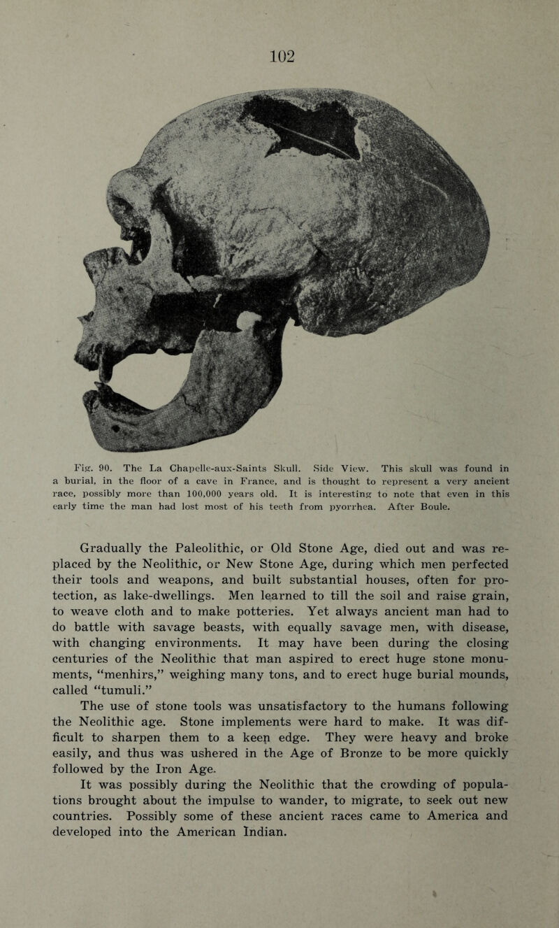 Fig. 90. The La Chapelle-aux-Saints Skull. Side View. This skull was found in a burial, in the floor of a cave in France, and is thought to represent a very ancient race, possibly more than 100,000 years old. It is interesting to note that even in this early time the man had lost most of his teeth from pyorrhea. After Boule. Gradually the Paleolithic, or Old Stone Age, died out and was re- placed by the Neolithic, or New Stone Age, during which men perfected their tools and weapons, and built substantial houses, often for pro- tection, as lake-dwellings. Men learned to till the soil and raise grain, to weave cloth and to make potteries. Yet always ancient man had to do battle with savage beasts, with equally savage men, with disease, with changing environments. It may have been during the closing centuries of the Neolithic that man aspired to erect huge stone monu- ments, “menhirs,” weighing many tons, and to erect huge burial mounds, called “tumuli.” The use of stone tools was unsatisfactory to the humans following the Neolithic age. Stone implements were hard to make. It was dif- ficult to sharpen them to a keen edge. They were heavy and broke easily, and thus was ushered in the Age of Bronze to be more quickly followed by the Iron Age. It was possibly during the Neolithic that the crowding of popula- tions brought about the impulse to wander, to migrate, to seek out new countries. Possibly some of these ancient races came to America and developed into the American Indian.
