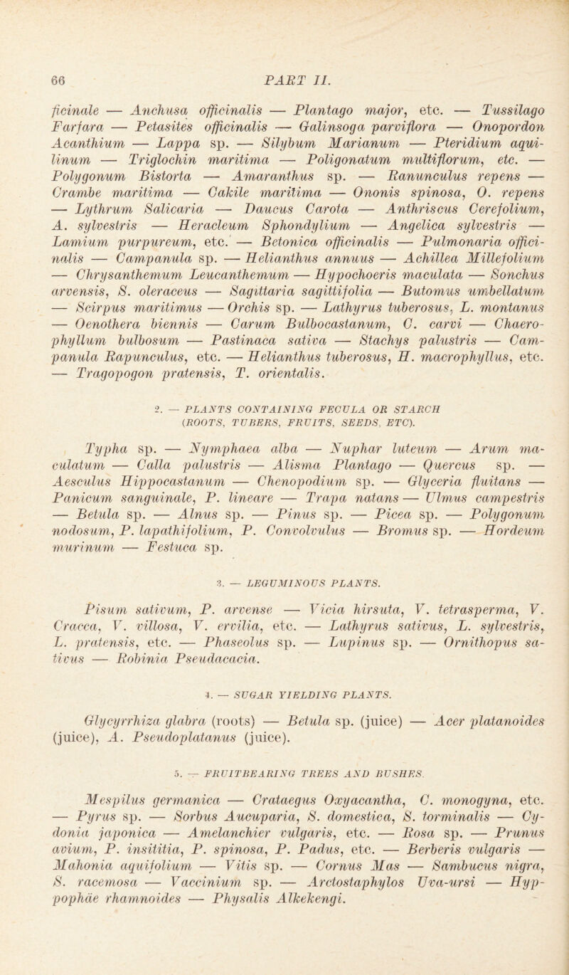 ficinale — Anchusa officinalis — Plantago major, etc. — Tussilago Farfara — Petasites officinalis —* Galinsoga parviflora — Onopordon Acanthium — Lappa sp. — Silybum Marianum — Pteridium aqui- linum — Triglochin maritima — Poligonatum multiflorum, etc. — Polygonum Bistorta — Amaranihus sp. —- Ranunculus repens — Grarnbe maritima —- Gakile maritima — Ononis spinosa, 0. repens — Ly thrum Salicaria — Daucus Garota — Anthriscus Gere folium, A. sylvestris — Heracleum Sphondylium — Angelica sylvestris — Lamium purpureum, etc. — Betonica officinalis — Pulmonaria offici¬ nalis — Campanula sp. — Helianthus annuus — Achillea Millefolium — Chrysanthemum Leucanthemum — Hypochoeris maculata — Sonchus arvensis, 8. oleraceus — Sagittaria sagittifolia — Butomus umbellatum — Stir pus maritimus — Orchis sp. — Lathy rus tuber osus, L. montanus — Oenothera biennis — Garum Bulbocastanum, G. carvi — Ghaero- phyllum bulbosum — Pastinaca sativa — Stachys palustris — Cam¬ panula Rapunculus, etc. — Helianthus tuberosus, H. macrophyllus, etc. — Tragopogon pratensis, T. orientalis. 2. — PLANTS CONTAINING FECULA OR STARCH (ROOTS, TUBERS, FRUITS, SEEDS, ETC). Typha sp. — Nymphaea alba — Nuphar luteum — Arum ma- culatum — Galla palustris — Alisma Plantago — Quercus sp. — Aesculus Hippocastanum — Ghenopodium sp. ■— Glyceria fluitans — Panicum sanguinale, P. lineare — Trapa natans — TJlmus campestris — Betula sp. — Alnus sp. — Pinus sp. — Picea sp. — Polygonum nodosum, P. lapathifolium, P. Convolvulus — Bromus sp. — Hordeum murinum — Festuca sp. 3. — LEGUMINOUS PLANTS. Pisum sativum, P. arvense —• Vicia hirsuta, V. tetrasperma, V. Gracca, V. villosa, V. ervilia, etc. — Lathyrus sativus, L. sylvestris, L. pratensis, etc. — Phaseolus sp. — Lupinus sp. — Ornithopus sa¬ tivus — Robinia Pseudacacia. 4. — SUGAR YIELDING PLANTS. Glycyrrhiza glabra (roots) — Betula sp. (juice) — Acer platanoides (juice), A. Pseudoplatanus (juice). 5. — FRUIT BEARING TREES AND BUSHES. Mespilus germanica — Crataegus Oxyacantha, G. monogyna, etc. — Pyrus sp. — Sorbus Aucuparia, 8. domestica, 8. torminalis — Gy- donia japonica — Amelanchier vulgaris, etc. — Rosa sp. — Prunus avium, P. insititia, P. spinosa, P. Padus, etc. — Berberis vulgaris — Mahonia aquifolium — Vitis sp. — Cornus Mas — 8ambucus nigra, 8. racemosa — Vactinium sp. — Arctostaphylos Uva-ursi — Hyp- pophae rhamnoides — Physalts A Tkekengi.