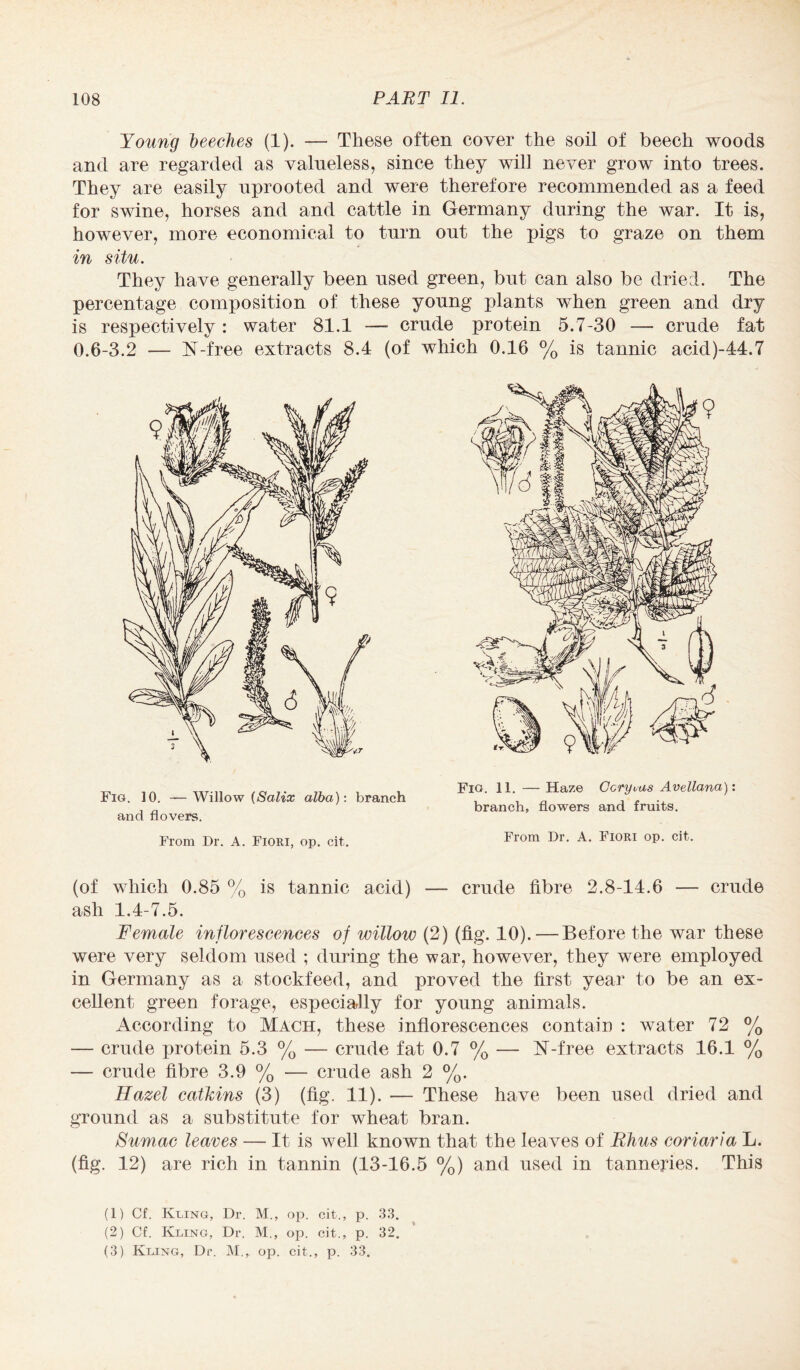 Young leeches (1). — These often cover the soil of beech woods and are regarded as valueless, since they will never grow into trees. They are easily uprooted and were therefore recommended as a feed for swine, horses and and cattle in Germany during the war. It is, however, more economical to turn out the pigs to graze on them in situ. They have generally been used green, but can also be dried. The percentage composition of these young plants when green and dry is respectively: water 81.1 —- crude protein 5.7-30 — crude fat 0.6-3.2 — N-free extracts 8.4 (of which 0.16 % is tannic acid)-44.7 Fig. 10. — Willow (Salix alba): branch and flovers. From Ur. A. Fiori, op. cit. Fig. 11. — Haze Ccryvas Avellana): branch, flowers and fruits. From Dr. A. Fiori op. cit. (of which 0.85 % is tannic acid) — crude fibre 2.8-14.6 — crude ash 1.4-7.5. Female inflorescences of willow (2) (fig. 10). — Before the war these were very seldom used ; during the war, however, they were employed in Germany as a stockfeed, and proved the first year to be an ex¬ cellent green forage, especially for young animals. According to Mach, these inflorescences contain : water 72 % — crude protein 5.3 % — crude fat 0.7 % — N-free extracts 16.1 % — crude fibre 3.9 % — crude ash 2 %. Hazel catkins (3) (fig. 11). — These have been used dried and ground as a substitute for wheat bran. Sumac leaves — It is well known that the leaves of Rhus coriaria L. (fig. 12) are rich in tannin (13-16.5 %) and used in tanneries. This (1) Cf. Rung, Dr. M., op. cit., p. 33. (2) Cf. Kling, Dr. M., op. cit., p. 32.