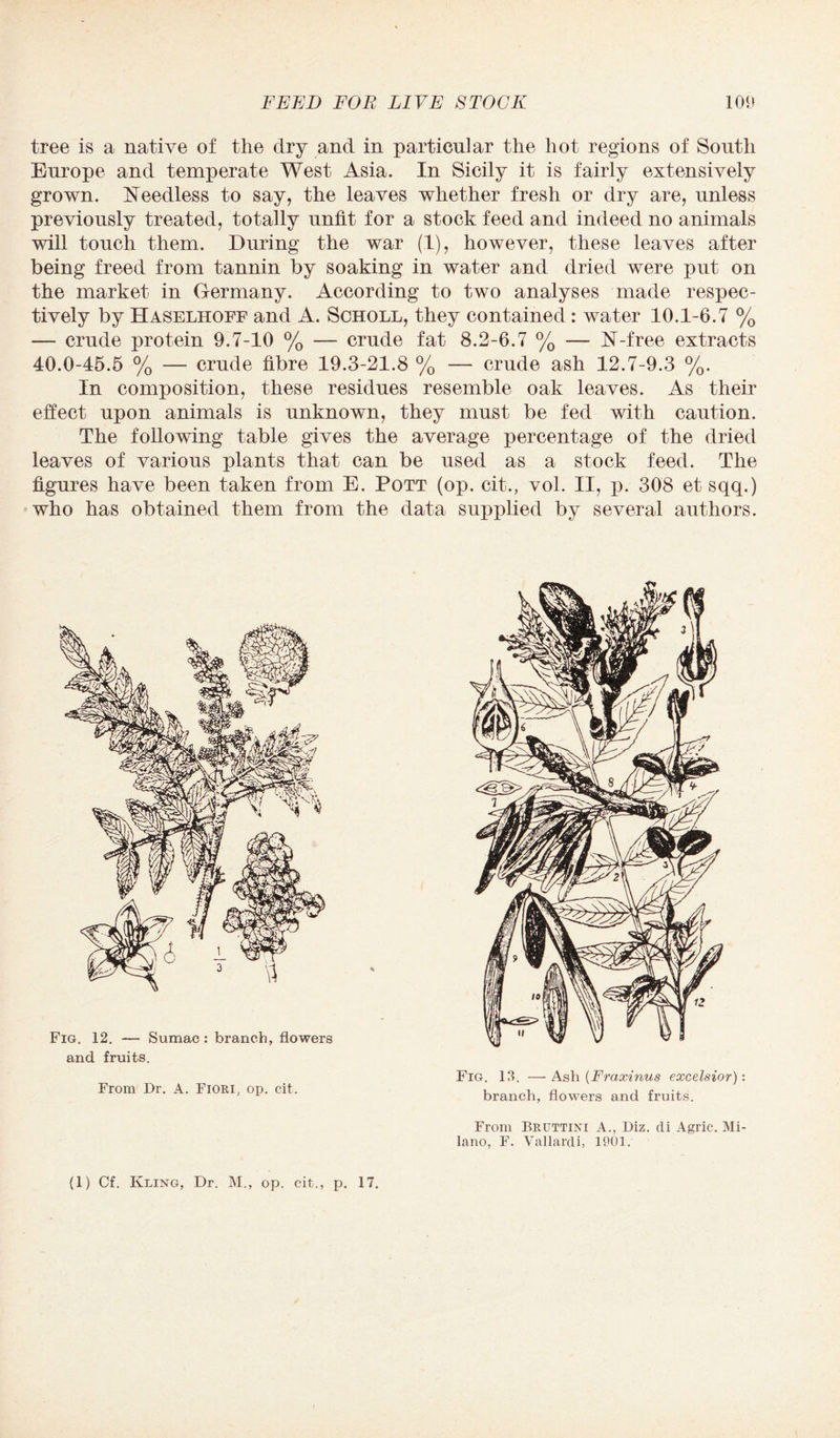 tree is a native of the dry and in particular the hot regions of South Europe and temperate West Asia. In Sicily it is fairly extensively grown. Needless to say, the leaves whether fresh or dry are, unless previously treated, totally unfit for a stock feed and indeed no animals will touch them. During the war (1), however, these leaves after being freed from tannin by soaking in water and dried were put on the market in Germany. According to two analyses made respec¬ tively by Haselhoff and A. Scholl, they contained: water 10.1-6.7 % — crude protein 9.7-10 % — crude fat 8.2-6.7 % — N-free extracts 40.0-45.5 % — crude fibre 19.3-21.8 % — crude ash 12.7-9.3 %. In composition, these residues resemble oak leaves. As their effect upon animals is unknown, they must be fed with caution. The following table gives the average percentage of the dried leaves of various plants that can be used as a stock feed. The figures have been taken from E. Pott (op. cit., vol. II, p. 308 et sqq.) who has obtained them from the data supplied by several authors. Fig. 12. — Sumac: branch, flowers and fruits. From Dr. A. Fiori, op. cit. Fig. 13. —Ash {Fraxinus excelsior): branch, flowers and fruits. From Bruttini A., Diz. di Agric. Mi¬ lano, F. Vallardi, 1901.