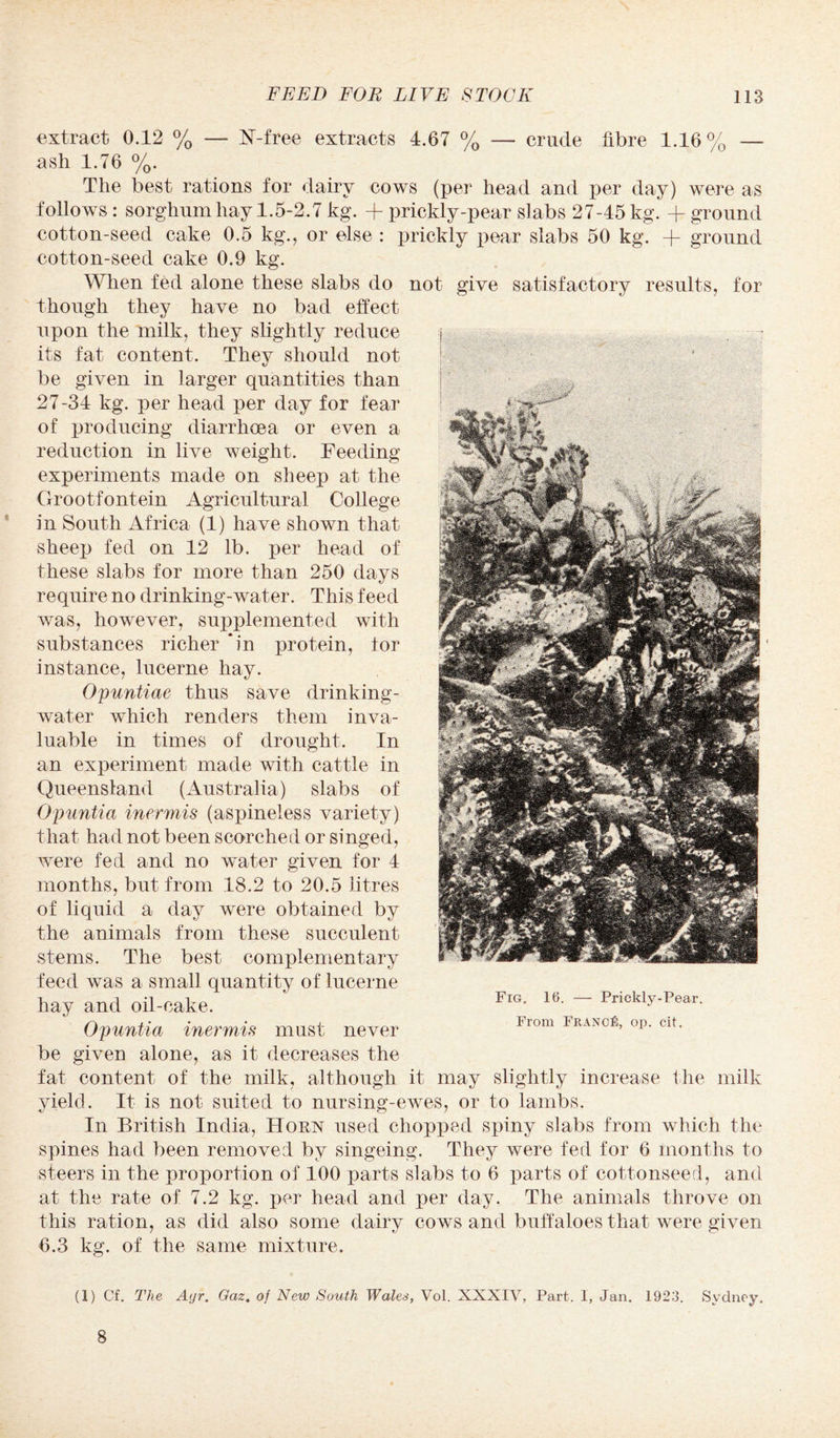 extract 0.12 % — ¥-free extracts 4.67 % — crude fibre 1.16% — ash 1.76 %. The best rations for dairy cows (per head and per day) were as follows: sorghum hay 1.5-2.7 kg. + prickly-pear slabs 27-45 kg. + ground cotton-seed cake 0.5 kg., or else : prickly pear slabs 50 kg. + ground cotton-seed cake 0.9 kg. When fed alone these slabs do not give satisfactory results, for though they have no bad effect upon the milk, they slightly reduce its fat content. They should not be given in larger quantities than 27-34 kg. per head per day for fear of producing diarrhoea or even a reduction in live weight. Feeding experiments made on sheep at the Grootfontein Agricultural College in South Africa (1) have shown that sheep fed on 12 lb. per head of these slabs for more than 250 days require no drinking-water. This feed was, however, supplemented with substances richer *in protein, tor instance, lucerne hay. Opuntiae thus save drinking- water which renders them inva¬ luable in times of drought. In an experiment made with cattle in Queensland (Australia) slabs of Opuntia inermis (aspineless variety) that had not been scorched or singed, were fed and no water given for 4 months, but from 18.2 to 20.5 litres of liquid a day were obtained by the animals from these succulent stems. The best complementary feed was a small quantity of lucerne hay and oil-cake. Opuntia inermis must never be given alone, as it decreases the fat content of the milk, although it may slightly increase the milk yield. It is not suited to nursing-ewes, or to lambs. In British India, Horn used chopped spiny slabs from which the spines had been removed by singeing. They were fed for 6 months to steers in the proportion of 100 parts slabs to 6 parts of cottonseed, and at the rate of 7.2 kg. per head and per day. The animals throve on this ration, as did also some dairy cows and buffaloes that were given 6.3 kg. of the same mixture. Fig. 16. — Prickly-Pear. From France, op. cit. (1) Cf. The Ayr. Gaz. of New South Wales, Vol. NXXIV, Part. 1, Jan. 1923. Sydney, 8