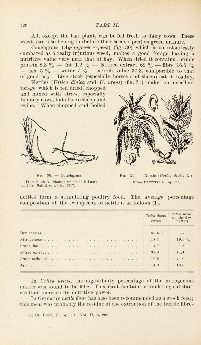 All, except the last plant, can be fed fresh to dairy cows. These weeds can also be dug in (before their seeds ripen) as green manure. Couchgrass (Agropyrum repens) (fig. 30) which is so relentlessly combated as a really injurious weed, makes a good forage having a nutritive value very near that of hay. When dried it contains : crude protein 8.3 % — fat 1.2 % — N.-free extract 62 % — fibre 16.5 % — ash 5 % — water 7 % — starch value 37,3, comparable to that of good hay. Live stock (especially horses and sheep) eat it readily. Nettles (Urtica dioica and U. urens) (fig. 31) make an excellent forage which is fed dried, chopped and mixed with straw, especially to dairy cows, but also to sheep and swine. When chopped and boiled Fig. 30. — Couchgrass. Fig. 31. — Nettle (Urtica dioica L.) From Fron G. Plantes nuisibles & l’agri- From Brtjttini A., op. cit. culture. Bailliere, Paris, 1917. nettles form a stimulating poultry food. The average percentage composition of the two species of nettle is as follows (1). Urtica dioica young Urtica urens (in the dry matter) Dry matter. 88.6 % Nitrogenous. 18.3 19.9 % Crude fat.. 7.7 1.8 N-free extract. 38.8 41.4 Crude cellulose .. 10.6 24.0 14.0 13.0 In Urtica urens, the digestibility percentage of the nitrogenous matter was found to be 90.8. This plant contains stimulating substan¬ ces that increase its nutritive power. In Germany nettle flour has also been recommended as a stock feed; this meal was probably the residue of the extraction of the textile fibres (1) Cf. Pott, E., op. cit., Vol. II, p, 298.