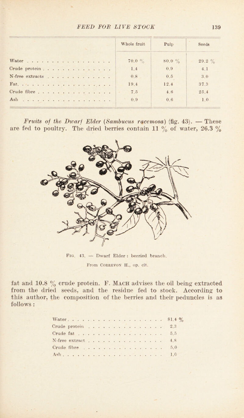 Whole fruit Pulp Seeds Water... 70.0 % 80.0 % 29.2 % Crude protein. 1.4 0.9 4.1 N-free extracts. 0.8 0.5 3.0 19.4 12.4 37.3 Crude fibre . 7.5 4.6 25.4 Ash.. 0.9 0.6 1.0 Fruits of the Dwarf Elder (Sambucus racemosa) (fig. 43). — These are feci to poultry. The dried berries contain 11 % of water, 26.3 % Fig. 43. — Dwarf Elder : berried branch. From Correvon H., op. cit. fat and 10.8 % crude protein. F. Mach advises the oil being extracted from the dried seeds, and the residue fed to stock. According to this author, the composition of the berries and their peduncles is as follows : Water .... Crude protein Crude fat . . N-free extract Crude fibre . A=>h. 81.4 % 2.3 5.5 4.8 5.0 1.0