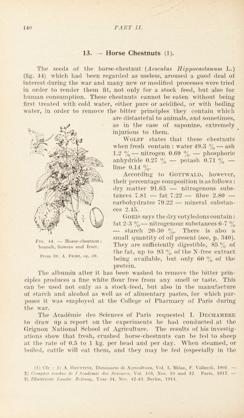 13. • — Horse Chestnuts (1). The seeds of the horse-chestnut (Aesculus Hippocastanum L.) (fig. 44) which had been regarded as useless, aroused a good deal of interest during the war and many new or modified processes were tried in order to render them fit. not only for a stock feed, but also for human consumption. These chestnuts cannot be eaten without being first treated with cold water, either pure or acidified, or with boiling water, in order to remove the bitter principles they contain which are distasteful to animals, and sometimes, as in the case of saponine, extremely injurious to them. Wolff states that these chestnuts when fresh contain : water 49.3 % — ash 1.2 %—nitrogen 0.69 % — phosphoric anhydride 0.27 % — potash 0.71 % —- lime 0.14 %. According to Gottwald, however, their percentage composition is as follows: dry matter 91.63 — nitrogenous subs¬ tances 7.81 — fat 7.22 — fibre 2.80 — carbohydrates 79.22 — mineral substan¬ ces 2.45. Goris says the dry cotyledons contain: fat 2-3 %— nitrogenous substances 6-7 % — starch 20-30 %. There is also a small quantity of oil present (see, p. 340). They are sufficiently digestible, 85 % of the fat, up to 93 % oftheN-free extract being available, but only 60 % of the protein. The albumin after it has been washed to remove the bitter prin¬ ciples produces a fine white flour free from any smell or taste. This can be used not only as a stock-feed, but also in the manufacture of starch and alcohol as well as of alimentary pastes, for which pur¬ poses it was employed at the College of Pharmacy of Paris during the war. The Academie des Sciences of Paris requested I. Dechambre to draw up a report on the experiments he had conducted at the Grignon National School of Agriculture. The results of his investig¬ ations show that fresh, crushed horse-chestnuts can be fed to sheep at the rate of 0.5 to 4 kg. per head and per day. When steamed, or boiled, cattle will eat them, and they may be fed (especially in the Fig. 44. — Horse-chestnut branch, flowers and fruit. From Dr. A. FiORJ, op. cit. (1) Cfr. : 1) A. Bruttini, Dizionario di A^ricoltura, Vol. 1, Milan, F. Vallardj, 1901. — 2) Comptes rendus de VAcademie des Sciences, Vol. 105, Nos. 10 and 32. Paris, 1917. — 3) Tllustrierte Landvo. Zeitung, Year 34, Nos. 42-43. Berlin, 1914.