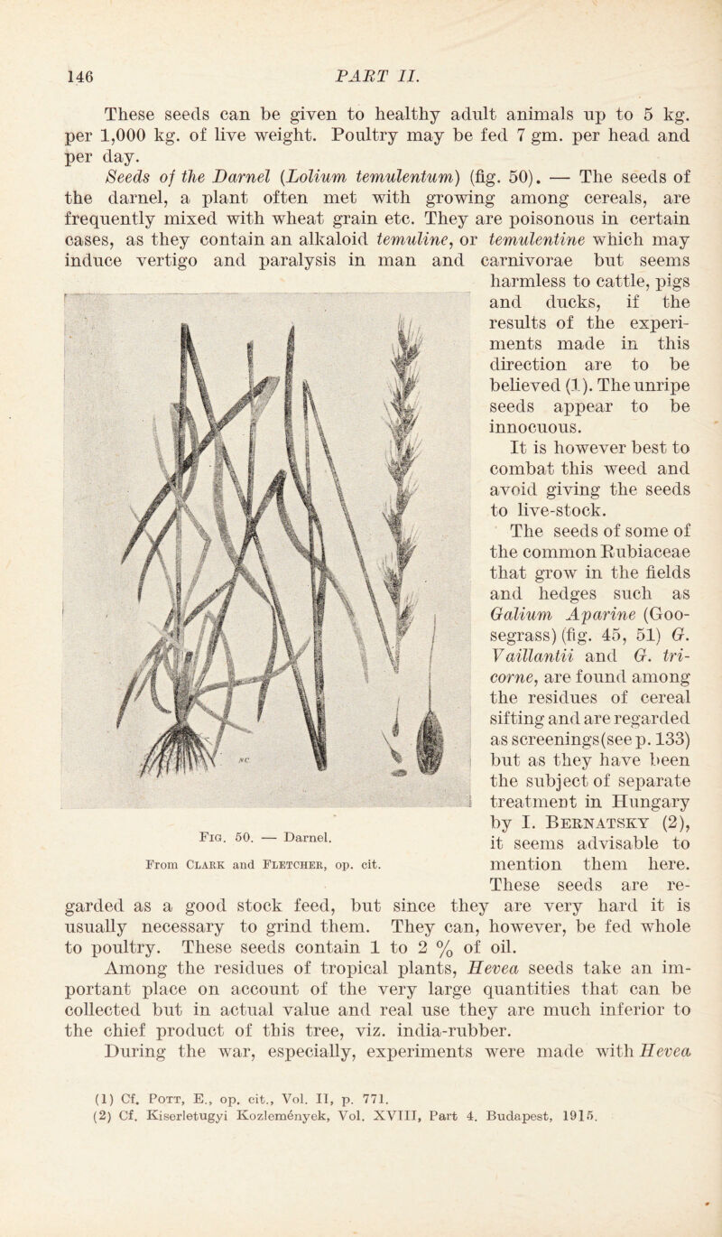 These seeds can be given to healthy adult animals uj> to 5 kg. per 1,000 kg. of live weight. Poultry may be fed 7 gm. per head and per day. Seeds of the Darnel (Lolium temulentum) (fig. 50). — The seeds of the darnel, a plant often met with growing among cereals, are frequently mixed with wheat grain etc. They are poisonous in certain cases, as they contain an alkaloid temuline, or temulentine which may induce vertigo and paralysis in man and carnivorae but seems harmless to cattle, pigs and ducks, if the results of the experi¬ ments made in this direction are to be believed (1). The unripe seeds appear to be innocuous. It is however best to combat this weed and avoid giving the seeds to live-stock. The seeds of some of the common Rubiaceae that grow in the fields and hedges such as Galium Aparine (Goo- segrass) (fig. 45, 51) G. Vaillantii and G. tri¬ corne, are found among the residues of cereal sifting and are regarded as screenings (seep. 133) but as they have been the subject of separate treatmen t in Hungary by I. Bernatsky (2), it seems advisable to mention them here. These seeds are re¬ garded as a good stock feed, but since they are very hard it is usually necessary to grind them. They can, however, be fed whole to poultry. These seeds contain 1 to 2 % of oil. Among the residues of tropical plants, Eevea seeds take an im¬ portant place on account of the very large quantities that can be collected but in actual value and real use they are much inferior to the chief product of this tree, viz. india-rubber. During the war, especially, experiments were made with Eevea Fig. 50. — Darnel. From Clark and Fletcher, op. cit. (1) Cf. Pott, E., op. cit., Vol. II, p. 771. (2) Cf. Kiserletugyi Kozlemenyek, Vol. XVIII, Part 4. Budapest, 1915.