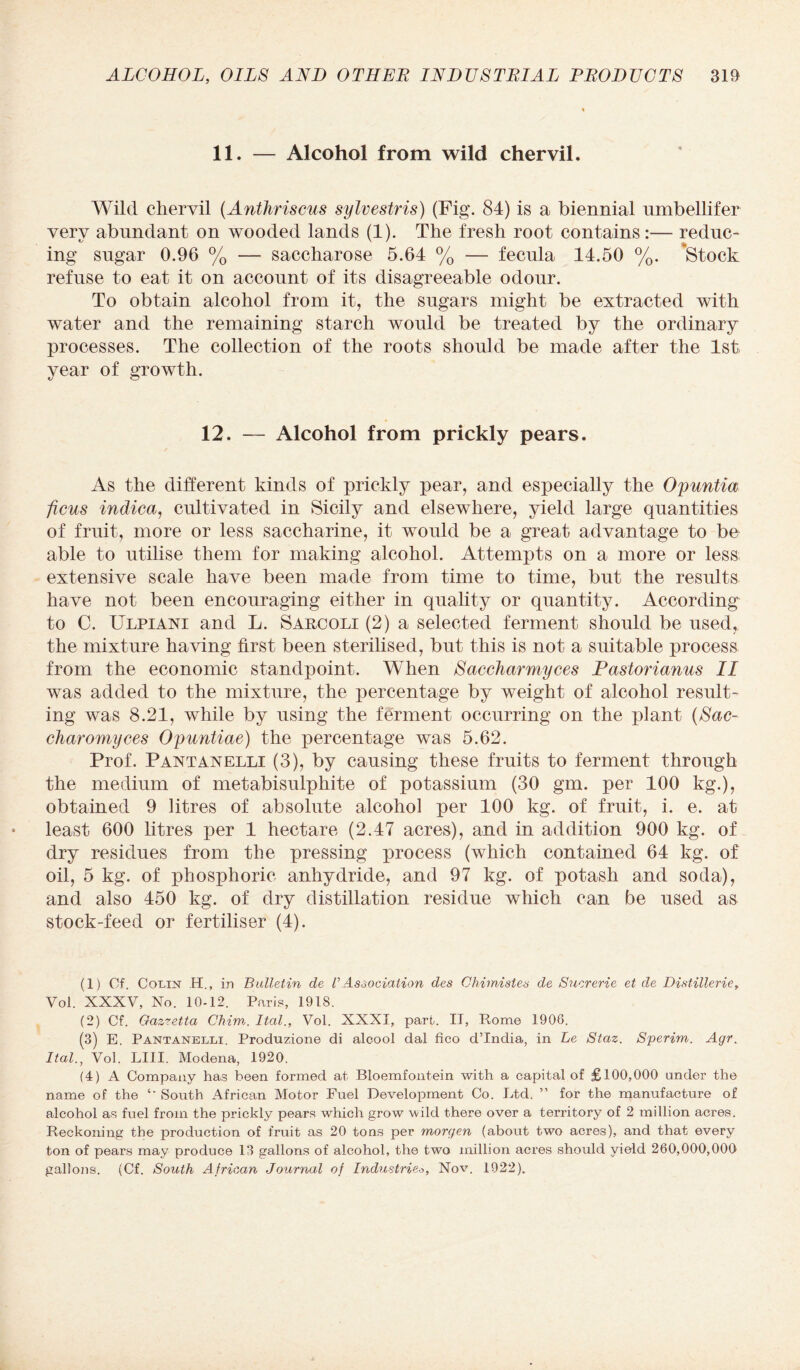 11. — Alcohol from wild chervil. Wild chervil (Anthriscus sylvestris) (Fig. 84) is a biennial umbellifer very abundant on wooded lands (1). The fresh root contains:— reduc¬ ing sugar 0.96 % — saccharose 5.64 % — fecula 14.50 %. Stock refuse to eat it on account of its disagreeable odour. To obtain alcohol from it, the sugars might be extracted with water and the remaining starch would be treated by the ordinary processes. The collection of the roots should be made after the 1st year of growth. 12. — Alcohol from prickly pears. As the different kinds of prickly pear, and especially the Opuntia ficus indica, cultivated in Sicily and elsewhere, yield large quantities of fruit, more or less saccharine, it would be a great advantage to be able to utilise them for making alcohol. Attempts on a more or less extensive scale have been made from time to time, but the results have not been encouraging either in quality or quantity. According to C. Ulpiani and L. Sarcoli (2) a selected ferment should be used, the mixture having first been sterilised, but this is not a suitable process from the economic standpoint. When Saccharmyces Pastorianus II was added to the mixture, the percentage by weight of alcohol result¬ ing was 8.21, while by using the ferment occurring on the plant (Sac- claromyces Opuntiae) the percentage was 5.62. Prof. Pantanelli (3), by causing these fruits to ferment through the medium of metabisulphite of potassium (30 gm. per 100 kg.), obtained 9 litres of absolute alcohol per 100 kg. of fruit, i. e. at least 600 litres per 1 hectare (2.47 acres), and in addition 900 kg. of dry residues from the pressing process (which contained 64 kg. of oil, 5 kg. of phosphoric anhydride, and 97 kg. of potash and soda), and also 450 kg. of dry distillation residue which can be used as stock-feed or fertiliser (4). (1) Cf. Colin H., in Bulletin cle VAssociation des Chimistes de Sucrerie et de Distillerie, Vol. XXXV, No. 10-12. Paris, 1918. (2) Cf. Qazretta Chiw,. Itcil., Vol. XXXI, part. II, Rome 1908. (3) E. Pantanelli. Produzione di alcool dal fico d’lndia, in Le Staz. Sperim. Agr. Itcil., Vol. LIII. Modena, 1920. (4) A Company has been formed at Bloemfontein with a capital of £100,000 under the name of the South African Motor Fuel Development Co. Ltd. ” for the manufacture of alcohol as fuel from the prickly pears which grow wild there over a territory of 2 million acres. Reckoning the production of fruit as 20 tons per morgen (about two acres), and that every ton of pears may produce 13 gallons of alcohol, the two million acres should yield 260,000,000 gallons. (Cf. South African Journal of IndustrieNov. 1922).