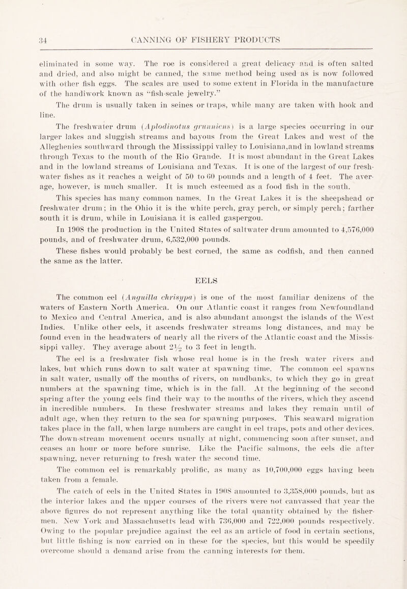 eliminated in some way. The roe is considered a great delicacy and is often salted and dried, and also might be canned, the same method being used as is now followed with other fish eggs. The scales are used to some extent in Florida in the manufacture of the handiwork known as “fish-scale jewelry.” The drum is usually taken in seines or traps, while many are taken with hook and line. The freshwater drum (Aplodinotus grunniens) is a large species occurring in our larger lakes and sluggish streams and bayous from the Great Lakes and west of the Alleghenies southward through the Mississippi valley to Louisiana,and in lowland streams through Texas to the mouth of the Rio Grande. It is most abundant in the Great Lakes and in the lowland streams of Louisiana and Texas. It is one of the largest of our fresh- water fishes as it reaches a weight of 50 to 00 pounds and a length of 4 feet. The aver- age, however, is much smaller. It is much esteemed as a food fish in the south. This species has many common names. In the Great Lakes it is the sheepshead or freshwater drum; in the Ohio it is the white perch, gray perch, or simply perch; farther south it is drum, while in Louisiana it is called gaspergou. In 1908 the production in the United States of saltwater drum amounted to 4,576,000 pounds, and of freshwater drum, 6,532,000 pounds. These fishes would probably be best corned, the same as codfish, and then canned the same as the latter. EELS The common eel (Anguilla chrisypa) is one of the most familiar denizens of the waters of Eastern North America. On our Atlantic coast it ranges from Newfoundland to Mexico and Central America, and is also abundant amongst the islands of the West Indies. Unlike other eels, it ascends freshwater streams long distances, and may be found even in the headwaters of nearly all the rivers of the Atlantic coast and the Missis- sippi valley. They average about 2y2 to 3 feet in length. The eel is a freshwater fish whose real home is in the fresh water rivers and lakes, but which runs down to salt water at spawning time. The common eel spawns in salt water, usually off the mouths of rivers, on mudbanks, to which they go in great numbers at the spawning time, which is in the fall. At the beginning of the second spring after the young eels find their way to the mouths of the rivers, which they ascend in incredible numbers. In these freshwater streams and lakes they remain until of adult age, when they return to the sea for spawning purposes. This seaward migration takes place in the fall, when large numbers are caught in eel traps, pots and other devices. The down-stream movement occurs usually at night, commencing soon after sunset, and ceases an hour or more before sunrise. Like the Pacific salmons, the eels die after spawning, never returning to fresh water the second time. The common eel is remarkably prolific, as many as 10,700,000 eggs having been taken from a female. The catch of eels in the United States in 1908 amounted to 3,358,000 pounds, but as the interior lakes and the upper courses of the rivers were not canvassed that year the above figures do not represent anything like the total quantity obtained by the fisher- men. New York and Massachusetts lead with 736,000 and 722,000 pounds respectively. Owing to the popular prejudice against the eel as an article of food in certain sections, but little fishing is now carried on in these for the species, but this would be speedily overcome should a demand arise from the canning interests for them.