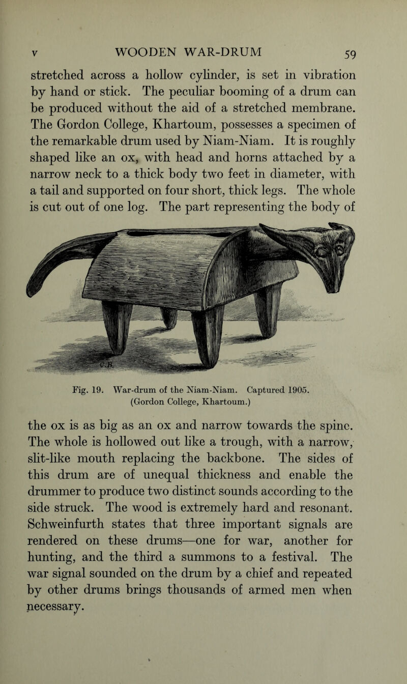 WOODEN WAR-DRUM stretched across a hollow cylinder, is set in vibration by hand or stick. The peculiar booming of a drum can be produced without the aid of a stretched membrane. The Gordon College, Khartoum, possesses a specimen of the remarkable drum used by Niam-Niam. It is roughly shaped like an ox, with head and horns attached by a narrow neck to a thick body two feet in diameter, with a tail and supported on four short, thick legs. The whole is cut out of one log. The part representing the body of Fig. 19. War-drum of the Niam-Niam. Captured 1905. (Gordon College, Khartoum.) the ox is as big as an ox and narrow towards the spine. The whole is hollowed out like a trough, with a narrow, slit-like mouth replacing the backbone. The sides of this drum are of unequal thickness and enable the drummer to produce two distinct sounds according to the side struck. The wood is extremely hard and resonant. Schweinfurth states that three important signals are rendered on these drums—one for war, another for hunting, and the third a summons to a festival. The war signal sounded on the drum by a chief and repeated by other drums brings thousands of armed men when necessary.