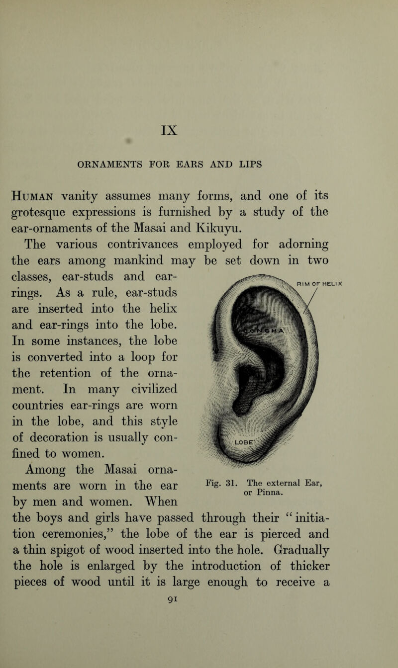 IX ORNAMENTS FOR EARS AND LIPS Human vanity assumes many forms, and one of its grotesque expressions is furnished by a study of the ear-ornaments of the Masai and Kikuyu. The various contrivances employed for adorning the ears among mankind may be set down in two classes, ear-studs and ear- rings. As a rule, ear-studs are inserted into the helix and ear-rings into the lobe. In some instances, the lobe is converted into a loop for the retention of the orna- ment. In many civilized countries ear-rings are worn in the lobe, and this style of decoration is usually con- fined to women. Among the Masai orna- ments are worn in the ear by men and women. When the boys and girls have passed through their “ initia- tion ceremonies,” the lobe of the ear is pierced and a thin spigot of wood inserted into the hole. Gradually the hole is enlarged by the introduction of thicker pieces of wood until it is large enough to receive a Fig. 31. The external Ear, or Pinna.