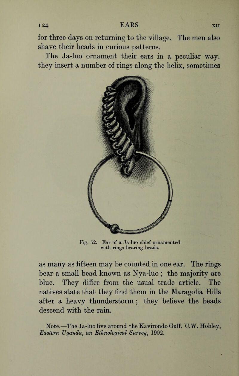 for three days on returning to the village. The men also shave their heads in curious patterns. The Ja-luo ornament their ears in a peculiar way. they insert a number of rings along the helix, sometimes Fig. 52. Ear of a Ja-luo chief ornamented with rings bearing beads. as many as fifteen may be counted in one ear. The rings bear a small bead known as Nya-luo ; the majority are blue. They differ from the usual trade article. The natives state that they find them in the Maragolia Hills after a heavy thunderstorm; they believe the beads descend with the rain. Note.—The Ja-luo live around the Kavirondo Gulf. C.W. Hobley, Eastern Uganda, an Ethnological Survey, 1902.