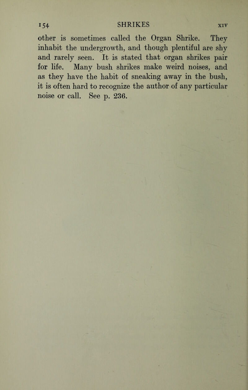 other is sometimes called the Organ Shrike. They inhabit the undergrowth, and though plentiful are shy and rarely seen. It is stated that organ shrikes pair for life. Many bush shrikes make weird noises, and as they have the habit of sneaking away in the bush, it is often hard to recognize the author of any particular noise or call. See p. 236.