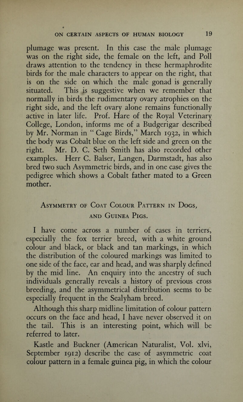 plumage was present. In this case the male plumage was on the right side, the female on the left, and Poll draws attention to the tendency in these hermaphrodite birds for the male characters to appear on the right, that is on the side on which the male gonad is generally situated. This is suggestive when we remember that normally in birds the rudimentary ovary atrophies on the right side, and the left ovary alone remains functionally active in later life. Prof. Hare of the Royal Veterinary College, London, informs me of a Budgerigar described by Mr. Norman in “ Cage Birds,” March 1932, in which the body was Cobalt blue on the left side and green on the right. Mr. D. C. Seth Smith has also recorded other examples. Herr C. Balser, Langen, Darmstadt, has also bred two such Asymmetric birds, and in one case gives the pedigree which shows a Cobalt father mated to a Green mother. Asymmetry of Coat Colour Pattern in Dogs, and Guinea Pigs. I have come across a number of cases in terriers, especially the fox terrier breed, with a white ground colour and black, or black and tan markings, in which the distribution of the coloured markings was limited to one side of the face, ear and head, and was sharply defined by the mid line. An enquiry into the ancestry of such individuals generally reveals a history of previous cross breeding, and the asymmetrical distribution seems to be especially frequent in the Sealyham breed. Although this sharp midline limitation of colour pattern occurs on the face and head, I have never observed it on the tail. This is an interesting point, which will be referred to later. Kastle and Buckner (American Naturalist, Vol. xlvi, September 1912) describe the case of asymmetric coat colour pattern in a female guinea pig, in which the colour