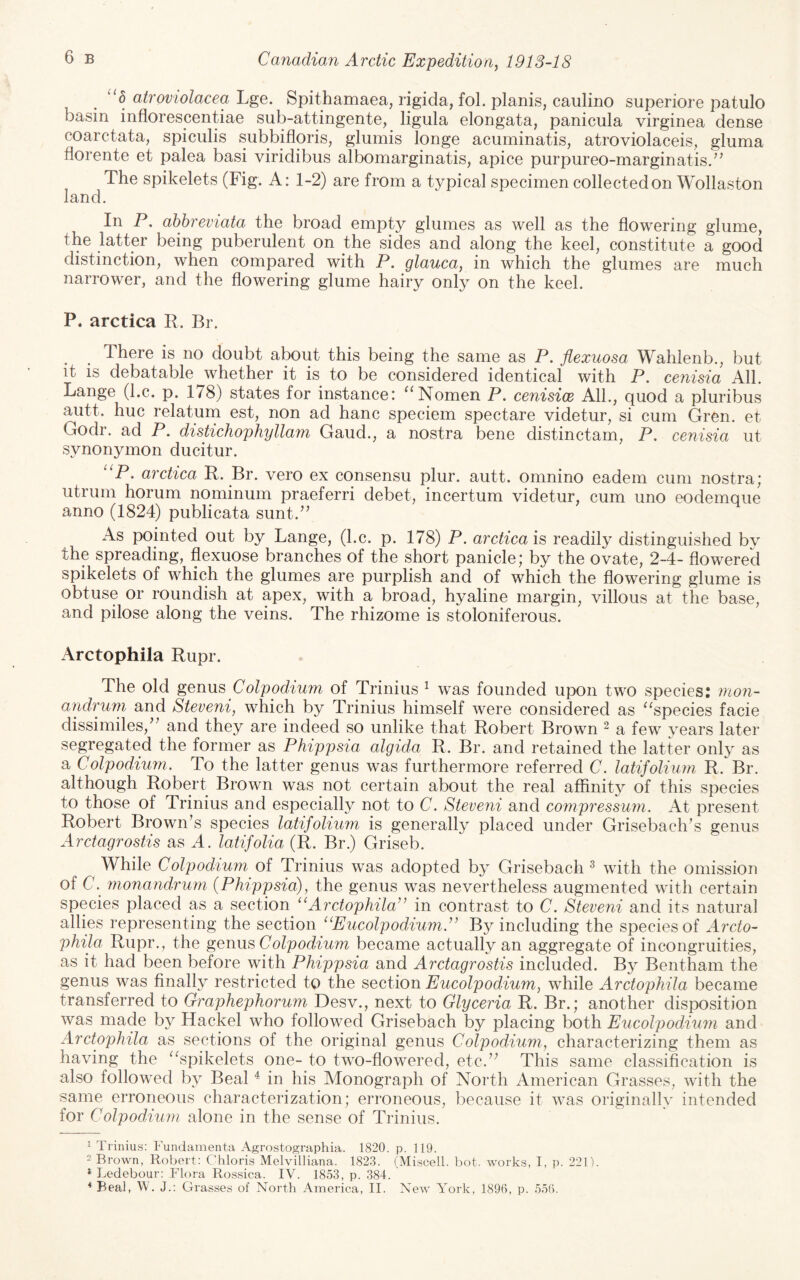 “d atroviolacea Lge. Spithamaea, rigida, fol. planis, caulino superiore patulo basin inflorescentiae sub-attingente, ligula elongata, panicula virginea dense coarctata, spiculis subbifloris, glumis longe acuminatis, atroviolaceis, gluma florente et palea basi viridibus albomarginatis, apice purpureo-marginatis.” The spikelets (Fig. A: 1-2) are from a typical specimen collected on Wollaston land. In P, abhreviata the broad empty glumes as well as the flowering glume, the latter being puberulent on the sides and along the keel, constitute a good distinction, when compared with P. glauca, in which the glumes are much narrower, and the flowering glume hairy only on the keel. P. arctica R. Br. There is no doubt about this being the same as P. flexuosa Wahienb., but it IS debatable whether it is to be considered identical with P. cenisia All. Lange (l.c. p. 178) states for instance: '‘Nomen P. cenisix AIL, quod a pluribus autt. hue relatum est, non ad hanc speciem spectare videtur, si cum Gren. et Godr. ad P. distichophyllam Gaud., a nostra bene distinctam, P. cenisia ut synonymon ducitur. P. arctica R. Br. vero ex consensu plur. autt. omnino eadem cum nostra; utrum horum nominum praeferri debet, incertum videtur, cum uno eodemque anno (1824) publicata sunt.” As pointed out by Lange, (l.c. p. 178) P. arctica is readily distinguished bv the spreading, flexuose branches of the short panicle; by the ovate, 2-4- flowered spikelets of which the glumes are purplish and of which the flowering glume is obtuse or roundish at apex, with a broad, hyaline margin, villous at the base, and pilose along the veins. The rhizome is stoloniferous. Arctophila Rupr. The old Colpodium of Trinius ^ was founded upon two species: mon- andrurn and Steveni, which by Trinius himself were considered as species facie dissimiles,” and they are indeed so unlike that Robert Brown ^ a few years later segregated the former as Phippsia algida R. Br. and retained the latter only as a Colpodium. To the latter genus was furthermore referred C. latifolium R. Br. although Robert Brown was not certain about the real affinity of this species to those of Trinius and especially not to C. Steve7ii and compressuni. At present Robert Brown’s species latifolium is generally placed under Grisebach’s genus Arctagrostis as A. latifolia (R. Br.) Griseb. While Colpodium oi Trinius was adopted by Grisebach ^ with the omission of C. rnonandrum (Phippsia), the genus was nevertheless augmented with certain species placed as a section ‘^Arctophila” in contrast to C. Steveni and its natural allies representing the section “Eucolpodium.” By including the species of Arcto¬ phila Rupr., the gQmxs, Colpodium became actually an aggregate of incongruities, as it had been before with Phippsia and Arctagrostis included. By Bentham the genus was finally restricted to the section Eucolpodium, while Arctophila became transferred to Graphephorum Desv., next to Glyceria R. Br.; another disposition was made by Hackel who followed Grisebach by placing both Eucolpodium and Arctophila as sections of the original genus Colpodium., characterizing them as having the spikelets one- to two-flowered, etc.” This same classification is also followed by Beal in his Monograph of North American Grasses, with the same erroneous characterization; erroneous, because it was originally intended for Colpodium alone in the sense of Trinius. i Trinius: Fundamenta Agrostographia. 1820. p. 119. - Brown, Robert: Chloris Melvilliana. 1823. (Miscell. bot. works, I, p. 221). * Ledebour: Flora Rossica. IV. 1853, p. 384. * Beal, W. J.: Grasses of North America, II. New York, 1896, p. 556.