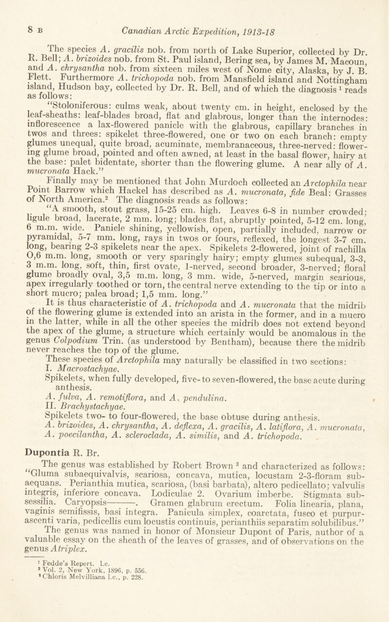 The species A. gracilis nob. from north of Lake Superior, collected by Dr. K. Bell; A. hrizoides nob. from St. Paul island, Bering sea, by James M. Macoun* and A. chrysantha nob. from sixteen miles west of Nome city, Alaska, by J. b! Flett. Furthermore A, trichopoda nob. from Mansfield island and Nottingham island, Hudson bay, collected by Dr. R. Bell, and of which the diagnosis ^ reads as follows: ''Stoloniferous: culms weak, about twenty cm. in height, enclosed by the leaf-sheaths: leaf-blades broad, flat and glabrous, longer than the internodes: inflorescence a lax-flowered panicle with the glabrous, capillary branches in twos and threes: spikelet three-flowered, one or two on each branch: empty glumes unequal, quite broad, acuminate, membranaceous, three-nerved: flower- gluinG broad, pointed and often awned, at least in the basal flower, hairy at the base: palet bidentate, shorter than the flowering glume. A near ally of A. mucronata Hack.^^ Finally may be mentioned that John Murdoch collected sm Arctophilai\Q,ar Point Barrow which Hackel has described as A. mucronata, fide Beal: Grasses of North America.^ The diagnosis reads as follows: A smooth, stout grass, 15-25 cm. high. Leaves 6-8 in number crowded; ligule broad, lacerate, 2 nini. long; blades flat, abruptly pointed, 5-12 cm. long,' 6 m.m. wide. Panicle shining, yellowish, open, partially included, narrow or pyramidal, 5-7 mm. long, rays in twos or fours, reflexed, the longest 3-7 cm. long, bearing 2-3 spikelets near the apex. Spikelets 2-flowered, joint of rachilla 0,6 m.rn. long, smooth or very sparingly hairy; empty glumes subequal, 3-3, 3 m.m. long, soft, thin, first ovate, 1-nerved, second broader, 3-nerved; floral glume broadly oval, 3,5 m.m. long, 3 mm. wide, 5-nerved, margin scarious, apex irregularly toothed or torn, the central nerve extending to the tip or into a short inucro; palea broad; 1,5 mm. long.’' It is thus characteristic of A. trichopoda and A. mucronata that the midrib of the flowering glume is extended into an arista in the former, and in a mucro in the latter, while in all the other species the midrib does not extend beyond the apex of the glume, a structure which certainly would be anomalous in the genus Colpodium Trin. (as understood by Bentham), because there the midrib never reaches the top of the glume. These species of Arctophila may naturalh^ be classified in two sections: I. Macrostachyae. Spikelets, when fully developed, five-to seven-flowered, the base acute during anthesis. A. fulva, A. remotifiora, and A. pendulina. II. Brachystachyae. Spikelets two- to four-flowered, the base obtuse during anthesis. A. hrizoides, A. chrysantha, A. defiexa, A. gracilis, A. latifiora, A. mucronata, A. poecilantha, A. scleroclada, A. similis, and A. trichopoda. Dupontia R. Br. The genus was established by Robert Brown ^ and characterized as follows: ^Gluma subaequivalvis, scariosa, concava, mutica, locustam 2-3-floram sub- aequans. ^ Perianthia mutica, scariosa, (basi barbata), altero pedicellato; valvulis integris, inferiore concava. Lodiculae 2. Ovarium imberbe. Stigmata sub- sessilia. Caryopsis —. Gramen glabrum erectum. Folia linearia, plana, vaginis sernifissis, basi integra. Panicula simplex, coarctata, fusco et purpur- ascenti varia, pedicellis cum locustis continuis, perianthiis separatim solubilibus.” The genus was named in honor of Monsieur Dupont of Paris, author of a valuable essay on the sheath of the leaves of grasses, and of observations on the genus Atriplex. ^ Fedde’s Repert. l.c. * Vol. 2, New York, 1896, p. 556. ’ Chloris Melvilliana l.c., p. 228.