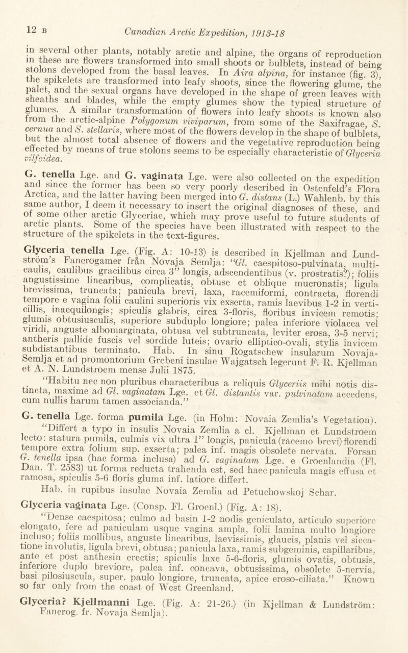 other plants, notably arctic and alpine, the organs of reproduction in these are flowers transformed into small shoots or bulblets, instead of being stolons developed from the basal leaves. In Aira alpina, for instance (fig 3) the spikelets are transformed into leafy shoots, since the flowering glume *the palet, and the sexual organs have developed in the shape of green leaves with sheaths and blades, while the empty glumes show the typical structure of glumes. A similar transformation of flowers into leafy shoots is known also from the arctic-alpine Polygonum viviparum, from some of the Saxifragae S ^ernua and stellaris, where most of the flowers develop in the shape of bulblets^ ^ j almost total absence of flowers and the vegetative reproduction being eflected by means of true stolons seems to be especially characteristic of Glyceria 1/Ol/J C/ljKA/^CJi » G. tenella Lge. and G. vaginata Lge. were also collected on the expedition and since the former has been so very poorly described in Ostenfeld's Flora Arctica, and the latter having been merged into G. distans (L.) Wahlenb. by this same author, I deem it necessary to insert the original diagnoses of these, and ot some other arctic Glyceriae, which may prove useful to future students of arctic plants. Some of the species have been illustrated with respect to the structure of the spikelets in the text-figures. Glyceria tenella Lge. (Fig. A: 10-13) is described in Kjellman and Lund- s rom s Fanerogamer Iran Novaja Semlja: “Gl. caespitoso-pulvinata, multi- caulis, caulibus gracilibus circa 3 longis, adscendentibus (v. prostratis?) • foliis angustissime linearibus, complicatis, obtuse et oblique mucronatis: ligula brevissima, truncata,’ panicula brevi, laxa, racemiformi, contracta, florendi tempore e vagina folii caulini superioris vix exserta, ramis laevibus 1-2 in verti- ci IS, inaequilongis; spiculis glabris, circa 3-floris, floribus invicem remotis; glumis obtusiusculis, superiore subduplo longiore; palea inferiore violacea vel viridi, anguste alboniarginata, obtusa vel subtruncata, leviter erosa, 3-5 nervi • yj * 4- J- * 1-, J_ • TT 1 T- ovario elliptico-ovali, stylis invicem subdistantibus terminato. Hab. In sinu Rogatschew insularum Novaja- Semlja et ad promontorium Grebeni insulae Wajgatsch legerunt F. R. Kiellman et A. N. Lundstroem mense Julii 1875. Habitu nec non pluribus characteribus a reliquis Glyceriis mihi notis dis- tmcta, maxime ad Gl. vaginatam Lge. et Gl. distantis var. pulvinatam accedens, cum nullis harum tamen associanda. G. tenella Lge. forma pumila Lge. (in Holm: Novaia Zemlia's Vegetation). Diffeit a typo in insulis^ Novaia Zemlia a cl. Kjellman et Lundstroem lecto. statuia purnila, culmis vix ultra 1 longis, panicula (racemo brevi) florendi tempore extra folium sup. exserta; palea inf. magis obsolete nervata. Forsan L. tenella ipsa (hac forma inclusa) ad G. vaginatam Lge. e Groenlandia (FI. Dan. T. 2583) ut forma reducta trahenda est, sed haec panicula magis effusa et ramosa, spicuhs 5-6 floris gluma inf. latiore differt. Hab. in rupibus insulae Novaia Zemlia ad Petuchowskoj Schar. Glyceria vaginata Lge. (Consp. FI. Groenl.) (Fig. A: 18). Dense caespitosa; culmo ad basin 1-2 nodis geniculato, articulo superiore elongato, fere ad paniculam usque vagina ampla, folii lamina multo longiore incluso, fohis mollibus, anguste linearibus, laevissimis, glaucis, planis vel sicca- tione mvolutis, ligula brevi, obtusa; panicula laxa, ramis subgeminis, capillaribus, aiite et post anthesin erectis; spiculis laxe 5-6-floris, glumis ovatis, obtusis, mleriore duplo breviore, palea inf. concava, obtusissima, obsolete 5-nervia, basi pilosiuscula, super, paulo longiore, truncata, apice eroso-ciliata. Known so far only from the coast of West Greenland. Glyceria? Kjellmanni Lge. (Fig. A: 21-26.) (in Kjellman & Lundstrom: hanerog. fr. Novaja Semlja).