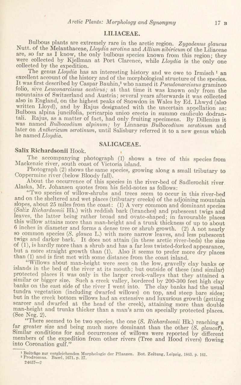 LILIACEAE. Bulbous plants are extremely rare in the arctic region. Zygadenus glaucus Nutt, of the Melanthaceae, Lloydia serotina and Allium sibiricum of the Liliaceae are, so far as I know, the only bulbous species known from this region j they were collected by Kjellman at Port Clarence, while Lloydia is the only one collected by the expedition. Tne genus Lloydia has an interesting history and we owe to Irmisch ^ an excellent account of the history and of the morphological structure of the species. It was first described by Caspar Bauhin,^ who named it Pseudonarcissus gramineo folio, siye Leuconarcissus aestivus; at that time it was known only from the mountains of Switzerland and Austria; several years afterwards it was collected also in England, on the highest peaks of Snowdon in Wales by Ed. Lhwyd (also written Lloyd), and by Rajus designated with the uncertain apoellation as: Bulbosa alpina juncifolia, pericarpio unico erecto in summo cauliculo dodran- tali. Pajus, as a matter of fact, had only fruiting specimens. By Dillenius it was named Bulbocodium alpinum; by Linnaeus Bulbocodium serotinum and later on Anthericum serotinum, until Salisbury referred it to a new genus which he named Lloydia, SALIGAGEAE. Salix Richardsonii Hook. , The accompanying photograph (1) shows a tree of this species from Mackenzie river, south coast of Victoria island. Photograph (2) shows the same species, growing along a small tributary to Coppermine river (below Bloody fall). About the occurrence of this species in the river-bed of Sadlerochit river, Alaska, Mr. Johansen quotes from his field-notes as follows: ^‘Two species of willow-shrubs and trees seem to occur in this river-bed and on the sheltered and wet places (tributary creeks) of the adjoining mountain slopes, about 25 rniles from the coast: (1) A very common and dominant species \Sahx Richardsonii Hk.) with reddish bark (branches) and pubescent twigs and leaves, the latter being rather broad and ovate-shaped; in favourable places this willow attains more than man-height and a trunk thickness of up to about 6 inches in diameter and forms a dense tree or shrub growth. (2) A not nearly so common species {S. glauca L.) with more narrow leaves, and less pubescent twigs and darker bark. It does not attain (in these arctic river-beds) the size of (1), is hardly more than a shrub and has a far less twisted-forked appearance, but a more straight growth than (1). Also it seems to prefer more dry places than (1) and is first met with some distance from the coast inland. ^Willows about man-height were seen on the low, gravelly clay banks or islands in the bed of the river at its mouth; but outside of these (and similar) protected places it was only in the larger creek-valleys that they attained a similar or bigger size. Such a creek valley, bordered by 200-300 feet high clay banks on the east side of the river I went into. The clay banks had the usual tundra vegetation (including dwarfed willows) on top, and steep bare sides; but in the creek bottom willows had an extensive and luxurious growth (getting scarcer and dwarfed at the head of the creek), attaining more than double man-height and trunks thicker than a man’s arm on specially protected places. (See Neg. 2). ^^There seemed to be two species, the one (S, Richardsonii Hk.) reaching a far greater size and being much more dominant than the other {s. glaucaf). Similar conditions for and occurrences of willows were reported by different members of the expedition from other rivers (Tree and Hood rivers) flowing into Coronation gulf.” ^ Beitrage zur vergleichenden Morphologie der Pflanzen. Bot. Zeitung, Leipzig, 1863. p 161 2Prodromus. Basel, 1671. p. 27. 24657—2
