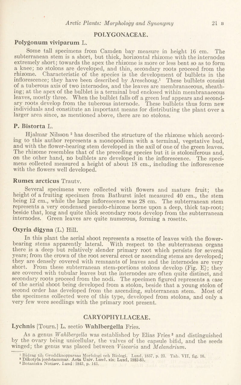 POLYGONAGEAE. Polygonum viviparum L. Some tall specimens from Camden bay measure in height 16 cm. The subterranean stem is a short, but thick, horizontal rhizome with the internodes extremely short; towards the apex the rhizome is more or less bent so as to form a knee; no stolons are developed, and thin, secondary roots proceed from the rhizome. Characteristic of the species is the development of bulblets in the inflorescence; they have been described by Areschoug.^ These bulblets consist of a tuberous axis of two internodes, and the leaves are membranaceous, sheath¬ ing ; at the apex of the bulblet is a terminal bud enclosed within membranaceous leaves, mostly three. When the bulblet falls off a green leaf appears and second¬ ly roots develop from the tuberous internode. These bulblets thus form new individuals and constitute an important means for distributing the plant over a larger area since, as mentioned above, there are no stolons. P. Bistorta L. Hjalmar Nilsson ^ has described the structure of the rhizome which accord¬ ing to this author represents a monopodium with a terminal, vegetative bud, and with the flower-bearing stem developed in the axil of one of the green leaves. The rhizome resembles that of the preceding species but it is stoloniferous and, on the other hand, no bulblets are developed in the inflorescence. The speci¬ mens collected measured a height of about 18 cm., including the inflorescence with the flowers well developed. Rumex arcticus Trautv. Several specimens were collected with flowers and mature fruit; the height of a fruiting specimen from Bathurst inlet measured 40 cm., the stem being 12 cm., while the large inflorescence was 28 cm. The subterranean stem represents a very condensed pseudo-rhizome borne upon a deep, thick tap-root; iDeside that, long and quite thick secondary roots develop from the subterranean internodes. Green leaves are quite numerous, forming a rosette. Oxyria digyna (L.) Hill. In this plant the aerial shoot represents a rosette of leaves with the flower¬ bearing stems apparently lateral. With respect to the subterranean organs there is a deep but relatively slender primary root which persists for several years; from the crown of the root several erect or ascending stems are developed; they are densely covered with remnants of leaves and the internodes are very short. From these subterranean stem-portions stolons develop (Fig. E); they are covered with tubular leaves but the internodes are often quite distinct, and secondary roots proceed from the nodi. The specimen figured represents a case of the aerial shoot being developed from a stolon, beside that a young stolon of second order has developed from the ascending, subterranean stem. Most of the specimens collected were of this type, developed from stolons, and only a very few were seedlings with the primary root present. GARYOPHYLLACEAE. Lychnis [Tourn.] L. sectio Wahlbergella Fries. As a genus Wahlbergella was established by Elias Fries® and distinguished by the ovary being unicellular, the valves of the capsule bifid, and the seeds winged; the genus was placed between'Ffscana and Melandrium. 1 Bidrag till Groddknopparnas Morfologi och Biologi. Lund, 1857, p. 23. Tab. VII, fig. 16. 2 Dikotyla jordstammar. Acta Univ. Lund, xix; Lund, 1882-83. ® Botaniska Notiser. Lund l 1843, p. 143.