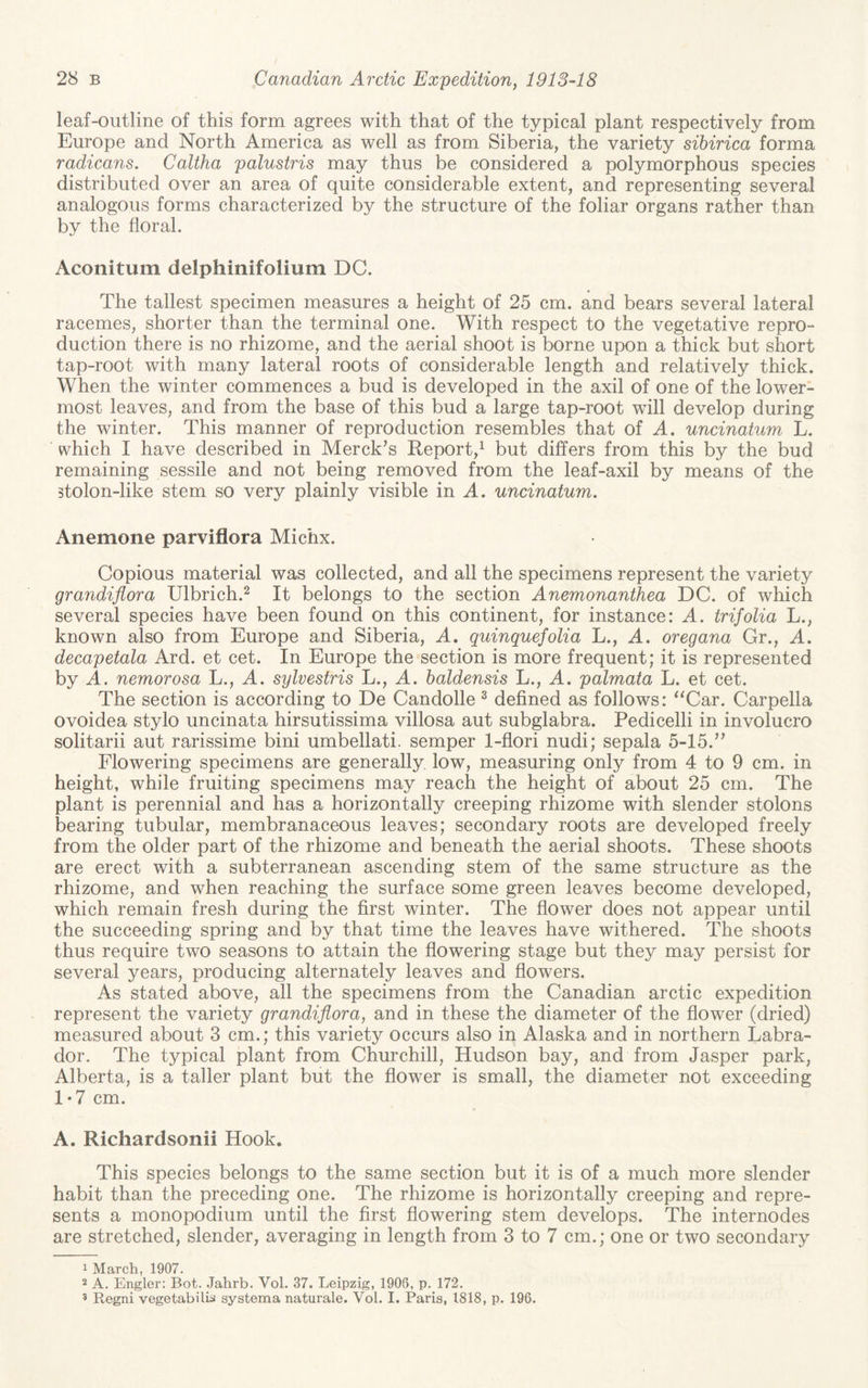 leaf-outline of this form agrees with that of the typical plant respectively from Europe and North America as well as from Siberia, the variety sihirica forma radicans. Caltha palustris may thus be considered a polymorphous species distributed over an area of quite considerable extent, and representing several analogous forms characterized by the structure of the foliar organs rather than by the floral. Aconitum delphinifolium DC. The tallest specimen measures a height of 25 cm. and bears several lateral racemes, shorter than the terminal one. With respect to the vegetative reprO“ duction there is no rhizome, and the aerial shoot is borne upon a thick but short tap-root with many lateral roots of considerable length and relatively thick. When the winter commences a bud is developed in the axil of one of the lower¬ most leaves, and from the base of this bud a large tap-root will develop during the winter. This manner of reproduction resembles that of A, uncinatum L. which I have described in Merckxs Report,^ but differs from this by the bud remaining sessile and not being removed from the leaf-axil by means of the stolon-like stem so very plainly visible in A. uncinatum. Anemone parviflora Michx. Copious material was collected, and all the specimens represent the variety grandiflora Ulbrich.^ It belongs to the section Anemonanthea DC. of which several species have been found on this continent, for instance: A. trifolia L., known also from Europe and Siberia, A. quinquefolia L., A. oregana Gr., A. decapetala Ard. et cet. In Europe the section is more frequent; it is represented by A. nemorosa L., A. sylvestris L., A. baldensis L., A. palmata L. et cet. The section is according to De Candolle ^ defined as follows: ^^Car. Carpella ovoidea stylo uncinata hirsutissima villosa aut subglabra. Pedicelli in involucro solitarii aut rarissime bini umbellati. semper 1-flori nudi; sepala 5-15.” Flowering specimens are generally low, measuring only from 4 to 9 cm. in height, while fruiting specimens may reach the height of about 25 cm. The plant is perennial and has a horizontally creeping rhizome with slender stolons bearing tubular, membranaceous leaves; secondary roots are developed freely from the older part of the rhizome and beneath the aerial shoots. These shoots are erect with a subterranean ascending stem of the same structure as the rhizome, and when reaching the surface some green leaves become developed, which remain fresh during the first winter. The flower does not appear until the succeeding spring and by that time the leaves have withered. The shoots thus require two seasons to attain the flowering stage but they may persist for several years, producing alternately leaves and flowers. As stated above, all the specimens from the Canadian arctic expedition represent the variety grandiflora, and in these the diameter of the flower (dried) measured about 3 cm.; this variety occurs also in Alaska and in northern Labra¬ dor. The typical plant from Churchill, Hudson bay, and from Jasper park, Alberta, is a taller plant but the flower is small, the diameter not exceeding 1-7 cm. A. Richardsonii Hook. This species belongs to the same section but it is of a much more slender habit than the preceding one. The rhizome is horizontally creeping and repre¬ sents a monopodium until the first flowering stem develops. The internodes are stretched, slender, averaging in length from 3 to 7 cm.; one or two secondary 1 March, 1907. 2 A. Engler: Bot. Jahrb. Vol. 37. Leipzig, 1908, p. 172. * Regni vegetabilia systema naturale. Vol. I. Paris, 1818, p. 196.