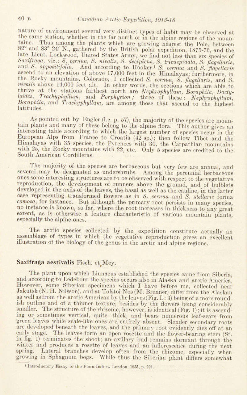 nature of environment sev^al very distinct types of habit may be observed at the same station, whether in the far north or in the alpine regions of the moun- tams. Thus among the plants which are growing nearest the Pole, between 82° and 83° 24' N., gathered by the British polar expedition, 1875-76, and the late Lieut. Lockwood, United States Army, we find not less than six species of Saxifraga, viz.: S. cernua, S. nivalis, S. decipiens, S. tricuspidata, S. flagellaris, and S. oppositifolia. And according to Hooker i S. cernua and S, flagellaris ascend to an elevation of above 17,000 feet in the Himalayas; furthermore, in the Rocky mountains, Colorado, I collected S. cernua, S. flagellaris, and S. nivalis above 14,000 feet alt. In other words, the sections which are able to thrive at the stations farthest north are Nephrophyllum, Boraphila, Dacty- loides, Trachyphyllufn, and Porphyrion / three of these : Nephrophyllum, Boraphila, and TrachyphyHum, are among those that ascend to the highest latitudes. As pointed out by Engler (l.c. p. 57), the majority of the species are moun¬ tain plants and many of these belong to the alpine flora. This author gives an interesting table according to which the largest number of species occur in the European Alps from France to Croatia (42 sp.); then follow Tibet and the Himalayas with 35 species, the Pyrenees with 30, the Carpathian mountains with 25, the Rocky mountains with 22, etc. Only 5 species are credited to the South American Cordilleras. The majority of the species are herbaceous but very few are annual, and several may be designated as undershrubs. Among the perennial herbaceous ones some interesting structures are to be observed with respect to the vegetative reproduction, the development of runners above the ground, and of bulblets developed in the axils of the leaves, the basal as well as the cauline, in the latter case representing transformed flowers as in S. cernua and S. stellaris forma comosa, for instance. But although the primary root persists in many species, no instance is known, so far, where the root increases in thickness to any great extent, as is otherwise a feature characteristic of various mountain plants, especially the alpine ones. The arctic species collected by the expedition constitute actually an assemblage of types in which the vegetative reproduction gives an excellent illustration of the biology of the genus in the arctic and alpine regions. Saxifraga aestivalis Fisch. et^Mey. The plant upon which Linnaeus established the species came from Siberia, and according to Ledebour the species occurs also in Alaska and arctic America. However, some Siberian specimens which I have before me, collected near Jakutsk (N. H. Nilsson), and at Tolstoi Nos (M. Brenner) differ from the Alaskan as well as from the arctic American by the leaves (Fig. L: 3) being of a more round¬ ish outline and of a thinner texture, besides by the flowers being considerably smaller. The structure of the rhizome, however, is identical (Fig. 1); it is ascend¬ ing or sometimes vertical, quite thick, and bears numerous leaf-scars from green leaves while scale-like ones are entirely absent. Slender secondary roots are developed beneath the leaves, and the primary root evidently dies off at an early stage. The leaves form an open rosette and the flower-bearing stem (St. in fig. 1) terminates the shoot; an axillary bud remains dormant through the winter and produces a rosette of leaves and an inflorescence during the next spring. Lateral branches develop often from the rhizome, especially when growing in Sphagnum bogs. While thus the Siberian plant differs somewhat »Introductory Essay to the Flora Indica. London, 1855, p. 221.