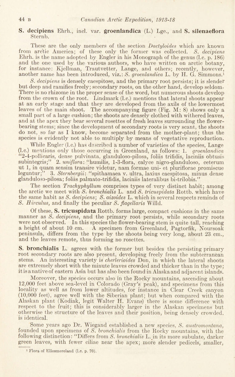 S. decipiens Ehrh., incl. var. groenlandica (L.) Lge., and S. silenaeflora Sternb. These are the only members of the section Dactyloides which are known from arctic America; of these only the former was collected. S. decipiens Ehrh. is the name adopted by Engler in his Monograph of the genus (he. p. 186) and the one used by the various authors, who have written on arctic botany, for instance: Kjellman, Trautvetter, Lange, and others; recently, however, another name has been introduced, viz.: S. groenlandica L. by H. G. Simmons.^ S. decipiens is densely caespitose, and the primary root persists; it is slender but deep and ramifies freely; secondary roots, on the other hand, develop seldom. There is no rhizome in the proper sense of the word, but numerous shoots develop from the crown of the root. Lindmark (l.c.) mentions that lateral shoots appear at an early stage and that they are developed from the axils of the lowermost leaves of the main shoot. The accompanying figure (Fig. M: 8) shows only a small part of a large cushion; the shoots are densely clothed with withered leaves, and at the apex they bear several rosettes of fresh leaves surrounding the flower¬ bearing stems; since the development of secondary roots is very scant, the shoots do not, so far as I know, become separated from the mother-plant; thus the species is evidently not able to multiply by means of vegetative reproduction. While Engler (l.c.) has described a number of varieties of the species, Lange (l.c.) mentions only those occurring in Greenland, as follows: 1. groenlandica ^^2-4-pollicaris, dense pulvinata, glanduloso-pilosa, foliis trifidis, laciniis obtusis subintegris;” 2. uniflora: “humilis, 1-3-fiora, calyce nigro-glanduloso, ceterum ut 1, in quam sensim transire videtur, nam formae uni- et pluriflorae promiscue leguntur;’^ 3. Sternhergii: ^^spithamaea v. ultra, laxius caespitosa, minus dense glanduloso-pilosa; foliis palmato-trifidis, laciniis lateralibus bi-trilobis.’^ The section Trachyphyllum comprises types of very distinct habit; among the arctic we meet with S. hronchialis L. and S. tricuspidata Rottb. which have the same habit as S. decipiens] S. aizoides L. which in several respects reminds of S. Hirculus, and finally the peculiar S. flagellaris Willd. Of these, S. tricuspidata Rottb. forms large, compact cushions in the same manner as S. decipiens, and the primary root persists, while secondary roots were not observed. In this species the flower-bearing stem is quite tall, reaching a height of about 10 cm. A specimen from Greenland, Pagtorfik, Noursoak peninsula, differs from the type by the shoots being very long, about 23 cm., and the leaves remote, thus forming no rosettes. S. bronchialis L. agrees with the former but besides the persisting primary root secondary roots are also present, developing freely from the subterranean stems. An interesting variety is cherlerioides Don, in which the lateral shoots pe extremely short with the minute leaves crowded and thicker than in the type; it is a native of eastern Asia but has also been found in Alaska and adjacent islands. Moreover, the species occurs also in the Rocky mountains, ascending about 12,000 feet above sea-level in Colorado (Gray’s peak), and specimens from this locality as well as from lower altitudes, for instance in Clear Creek canyon (10,000 feet), agree well with the Siberian plant; but when compared with the Alaskan plant (Kodiak, legit Walter H. Evans) there is some difference with respect to the fruit; this is considerably larger in the Alaskan specimens but otherwise the structure of the leaves and their position, being densely crowded, is identical. Some years ago Dr. Wiegand established a new species, S. austromontana, founded upon specimens of S. hronchialis from the Rocky mountains, with the following distinction: “Differs from S. hronchialis L.pn its more subulate, darker green leaves, with fewer ciliae near the apex; more slender pedicels, smaller, 1 Flora of Ellesmereland (l.c. p. 70).