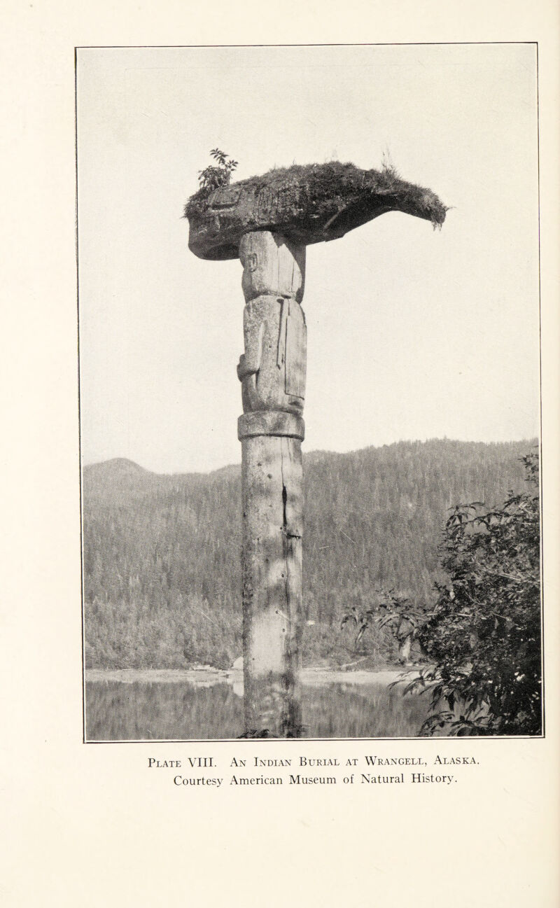 Courtesy American Museum of Natural History.