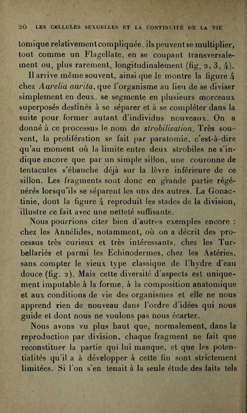 tomique relativementcompliquée. ils peuvent se multiplier, tout comme un Flagellate, en se coupant transversale- ment ou, plus rarement, longitudinalement (fig. 2, 3, 4). Il arrive même souvent, ainsique le montre la figure 4 chez Aurélia aurila, que l’organisme au lieu de se diviser simplement en deux, se segmente en plusieurs morceaux superposés destinés à se séparer et à se compléter dans la suite pour former autant d’individus nouveaux. On a donné à ce processus le nom de slrobilisalion. Très sou- vent, la prolifération se fait par paratomie, c’est-à-dire qu’au moment où la limite entre deux strobiles ne s’in- dique encore que par un simple sillon, une couronne de tentacules s’ébauche déjà sur la lèvre inférieure de ce sillon. Les fragments sont donc en grande partie régé- nérés lorsqu’ils se séparent les uns des autres. La Gonac- tinie, dont la figure 4 reproduit les stades de la division, illustre ce fait avec une netteté suffisante. Nous pourrions citer bien d’autres exemples encore : chez les Annélides, notamment, où on a décrit des pro- cessus très curieux et très intéressants, chez les Tur- bellariés et parmi les Echinodermes, chez les Astéries, sans compter le vieux type classique de l’hydre d’eau douce (fig. 2). Mais cette diversité d’aspects est unique- ment imputable à la forme, à la composition anatomique et aux conditions de vie des organismes et elle ne nous apprend rien de nouveau dans l’ordre d’idées qui nous j guide et dont nous ne voulons pas nous écarter. Nous avons vu plus haut que, normalement, dans la reproduction par division, chaque fragment ne fait que reconstituer la partie qui lui manque, et que les poten- tialités qu’il a à développer à cette fin sont strictement limitées. Si l’on s’en tenait à la seule étude des faits tels