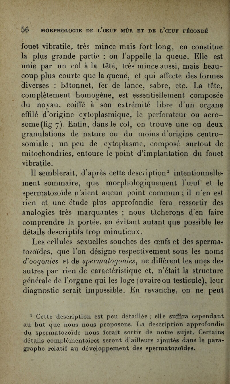 fouet vibratile, très mince mais fort long, en constitue la plus grande partie : on l’appelle la queue. Elle est unie par un col à la tête, très mince aussi, mais beau- coup plus courte que la queue, et qui affecte des formes diverses : bâtonnet, fer de lance, sabre, etc. La tête, complètement homogène, est essentiellement composée du noyau, coiffé à son extrémité libre d’un organe effilé d’origine cytoplasmique, le perforateur ou acro- some(fig 7), Enfin, dans le col, on trouve une ou deux granulations de nature ou du moins d’origine centro- somiale ; un peu de cytoplasme, composé surtout de mitochondries, entoure le point d’implantation du fouet vibratile. Il semblerait, d’après cette description^ intentionnelle- ment sommaire, que morphologiquement bœuf et le spermatozoïde n’aient aucun point commun ; il n’en est rien et une étude plus approfondie fera ressortir des analogies très marquantes ; nous tâcherons d'en faire comprendre la portée, en évitant autant que possible les détails descriptifs trop minutieux. Les cellules sexuelles souches des œufs et des sperma- tozoïdes, que l’on désigne respectivement sous les noms (Toogonies et de spermatogonies, ne diffèrent les unes des autres par rien de caractéristique et, n’était la structure générale de l’organe qui les loge (ovaireou testicule), leur diagnostic serait impossible. En revanche, on ne peut 1 Cette description est peu détaillée ; elle suffira cependant au but que nous nous proposons. La description approfondie du spermatozoïde nous ferait sortir de notre sujet. Certains détails complémentaires seront d’ailleurs ajoutés dans le para- graphe relatif au développement des spermatozoïdes.