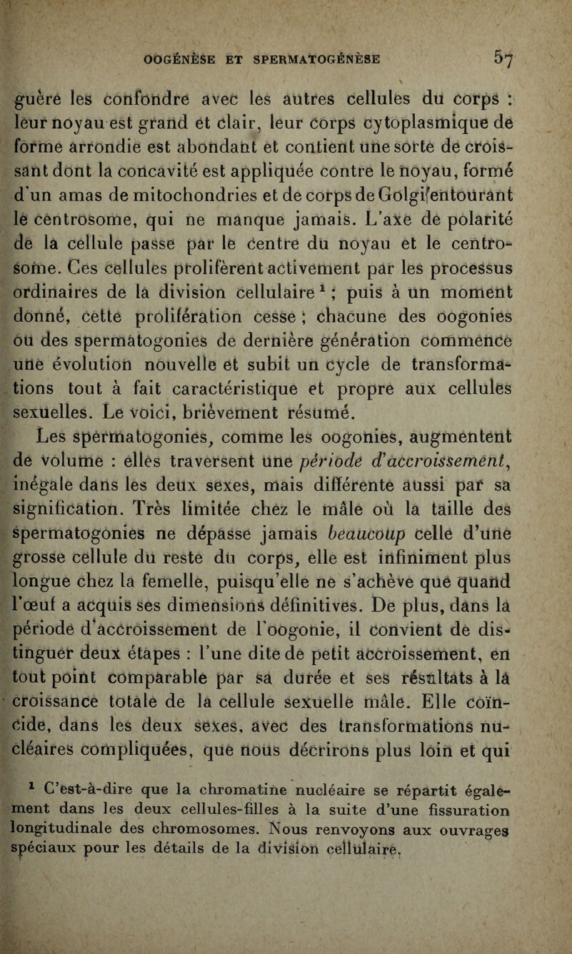 guère les confondre avec les autres cellules du corps : leur noyau est grand et clair, leur corps cytoplasmique de forme arrondie est abondant et contient une sorte de crois- sant dont la concavité est appliquée contre le noyau, formé d’un amas de mitochondries et de corps de Golgifentoürant le centrosome, qui ne manque jamais. L’axe de polarité de la cellule passe par le centre du noyau et le centro- some. Ces cellules prolifèrent activement par les processus ordinaires de la division cellulaire ^ ; puis à un moment donné, cette prolifération cesse ; chacune des oogonies ou des spermatogonies de dernière génération commence une évolution nouvelle et subit un cycle de transforma- tions tout à fait caractéristique et propre aux cellules sexuelles. Le voici, brièvement résumé. Les spermatogonies, comme les oogonies, augmentent de volume : elles traversent une période d'accroissement^ inégale dans les deux sexes, mais différente aussi par sa signification. Très limitée chez le mâle où la taille des spermatogonies ne dépasse jamais beaucoup celle d’une grosse cellule du reste du corps, elle est infiniment plus longue chez la femelle, puisqu’elle ne s’achève que quand l’œuf a acquis ses dimensions définitives. De plus, dans la période d^accroissement de l’oogonie, il convient de dis- tinguer deux étapes : l’une dite de petit accroissement, en tout point comparable par sa durée et ses résultats à lâ croissance totale de la cellule sexuelle mâle. Elle coïn- cide, dans les deux sexes, avec des transformations nu- cléaires compliquées, que nous décrirons plus loin et qui ^ C’est-à-dire que la chromatine nucléaire se répartit égale- ment dans les deux cellules-filles à la suite d’une fissuration longitudinale des chromosomes. Nous renvoyons aux ouvrages spéciaux pour les détails de la division cellulaire,