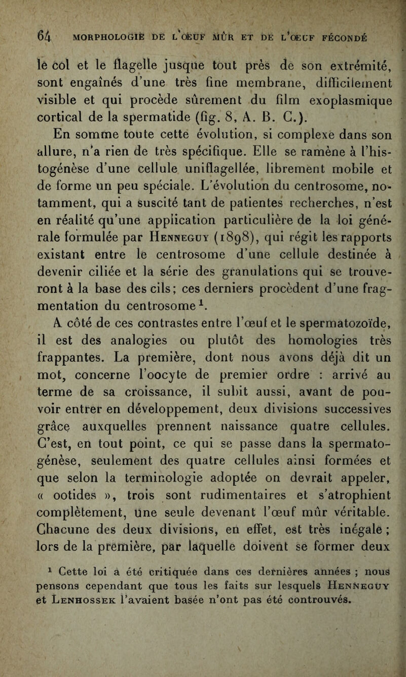 lé col et le flagelle jusque tout près de son extrémité, sont engainés d’une très fine membrane, difliciiement visible et qui procède sûrement du film exoplasmique cortical de la spermatide (fig. 8, A. B. G.). En somme toute cette évolution, si complexe dans son allure, n'a rien de très spécifique. Elle se ramène à l’his- togénèse d’une cellule uniflagellée, librement mobile et de forme un peu spéciale. L’évolution du centrosome, no- tamment, qui a suscité tant de patientes recherches, n’est en réalité qu’une application particulière de la loi géné- rale formulée par Hennegüy (1898), qui régit les rapports existant entre le centrosome d’une cellule destinée à devenir ciliée et la série des granulations qui se trouve- ront à la base des cils; ces derniers procèdent d’une frag- mentation du centrosome^. A côté de ces contrastes entre l’œuf et le spermatozoïde, il est des analogies ou plutôt des homologies très frappantes. La première, dont nous avons déjà dit un mot, concerne l’oocyte de premier ordre : arrivé au terme de sa croissance, il subit aussi, avant de pou- voir entrer en développement, deux divisions successives grâce auxquelles prennent naissance quatre cellules. C’est, en tout point, ce qui se passe dans la spermato- génèse, seulement des quatre cellules ainsi formées et que selon la terminologie adoptée on devrait appeler, « ootides », trois sont rudimentaires et s’atrophient complètement. Une seule devenant l’œuf mûr véritable. Chacune des deux divisions, en effet, est très inégale ; lors de la première, par laquelle doivent se former deux 1 Cette loi a été critiquée dans ces dernières années ; nous pensons cependant que tous les faits sur lesquels HenNeguy et Lenhossek l’avaient basée n’ont pas été controuvés.