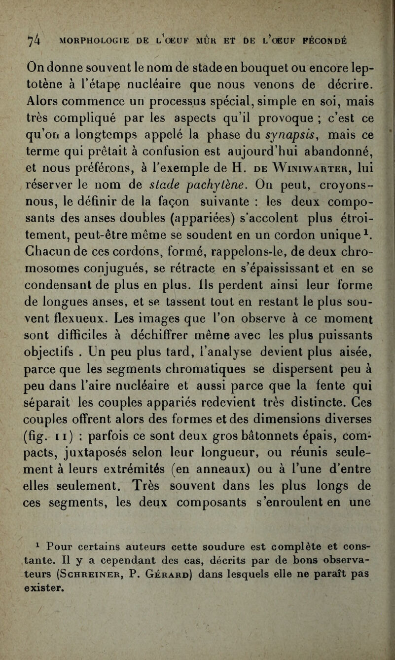 On donne souvent le nom de stade en bouquet ou encore lep- totène à l’étape nucléaire que nous venons de décrire. Alors commence un processus spécial, simple en soi, mais très compliqué par les aspects qu’il provoque ; c’est ce | qu’on a longtemps appelé la phase du synapsis, mais ce terme qui prêtait à confusion est aujourd’hui abandonné, ! et nous préférons, à l’exemple de H. de Winiwarter, lui réserver le nom de stade pachytène. On peut, croyons- nous, le définir de la façon suivante ; les deux compo- sants des anses doubles (appariées) s’accolent plus étroi- tement, peut-être même se soudent en un cordon unique^. j Chacun de ces cordons, formé, rappelons-le, de deux chro- mosomes conjugués, se rétracte en s’épaississant et en se condensant de plus en plus. Ils perdent ainsi leur forme de longues anses, et se tassent tout en restant le plus sou- vent flexueux. Les images que l’on observe à ce moment sont difficiles à déchiffrer même avec les plus puissants objectifs . Un peu plus tard, l’analyse devient plus aisée, parce que les segments chromatiques se dispersent peu à peu dans l’aire nucléaire et aussi parce que la fente qui séparait les couples appariés redevient très distincte. Ces couples offrent alors des formes et des dimensions diverses (fig. Il) : parfois ce sont deux gros bâtonnets épais, com- pacts, juxtaposés selon leur longueur, ou réunis seule- ment à leurs extrémités (en anneaux) ou à l’une d’entre elles seulement. Très souvent dans les plus longs de ces segments, les deux composants s’enroulent en une ^ Pour certains auteurs cette soudure est complète et cons- tante. Il y a cependant des cas, décrits par de bons observa- teurs (ScHREiNER, P. Gérard) dans lesquels elle ne paraît pas exister.