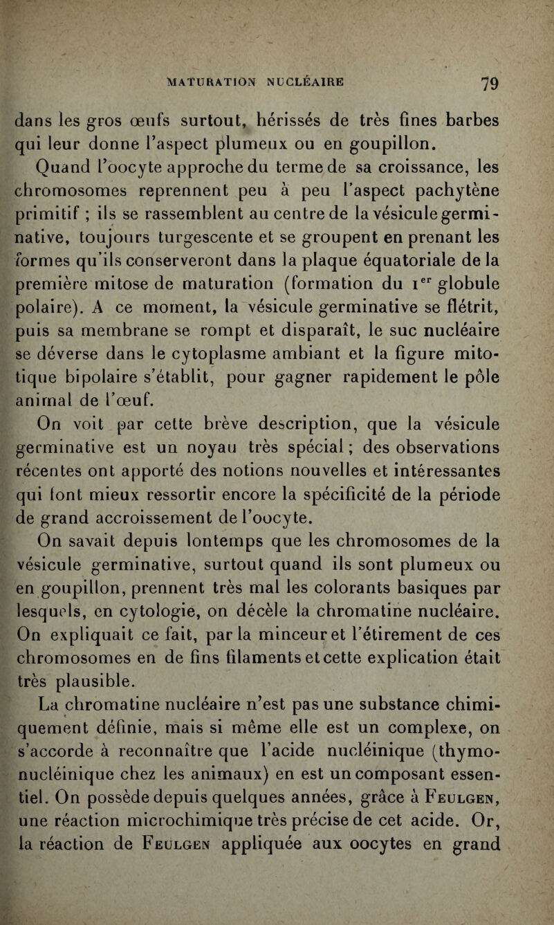 dans les gros œufs surtout, hérissés de très fines barbes qui leur donne l’aspect plumeux ou en goupillon. Quand l’oocyte approche du terme de sa croissance, les chromosomes reprennent peu à peu l’aspect pachytène primitif ; ils se rassemblent au centre de la vésicule germi- native, toujours turgescente et se groupent en prenant les formes qu’ils conserveront dans la plaque équatoriale de la première mitose de maturation (formation du i®‘‘ globule polaire). A ce moment, la vésicule germinative se flétrit, puis sa membrane se rompt et disparaît, le suc nucléaire se déverse dans le cytoplasme ambiant et la figure mito- tique bipolaire s’établit, pour gagner rapidement le pôle animal de l’œuf. On voit par cette brève description, que la vésicule germinative est un noyau très spécial ; des observations récentes ont apporté des notions nouvelles et intéressantes qui (ont mieux ressortir encore la spécificité de la période de grand accroissement de l’oocyte. On savait depuis lontemps que les chromosomes de la vésicule germinative, surtout quand ils sont plumeux ou en goupillon, prennent très mal les colorants basiques par lesquels, en cytologie, on décèle la chromatine nucléaire. On expliquait ce fait, parla minceur et l’étirement de ces chromosomes en de fins filaments et cette explication était très plausible. La chromatine nucléaire n’est pas une substance chimi- quement définie, mais si même elle est un complexe, on s’accorde à reconnaître que l’acide nucléinique (thymo- nucléinique chez les animaux) en est un composant essen- tiel. On possède depuis quelques années, grâce àFEULGEN, une réaction microchimique très précise de cet acide. Or, la réaction de Feulgen appliquée aux oocytes en grand