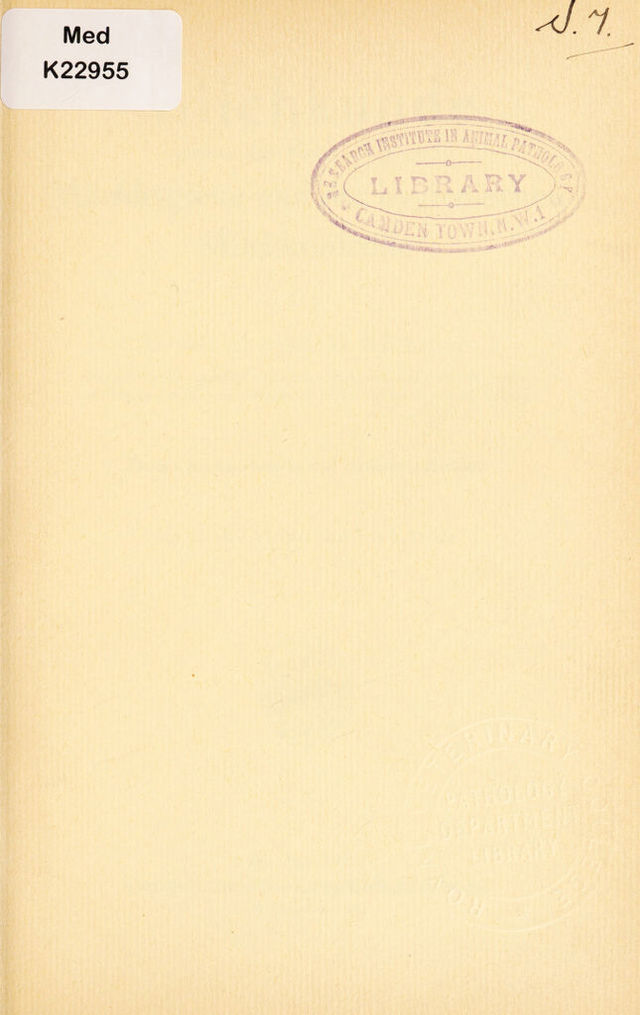 digitised image 3
